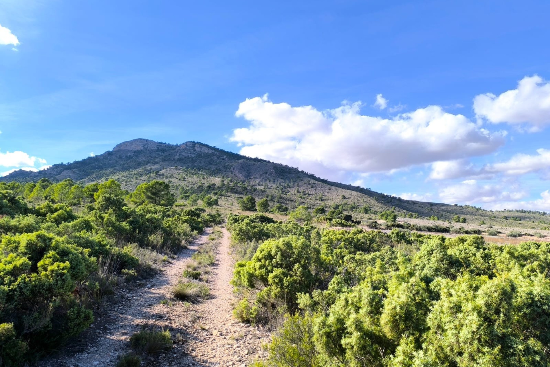 Resale - Villa - Yecla - Inland