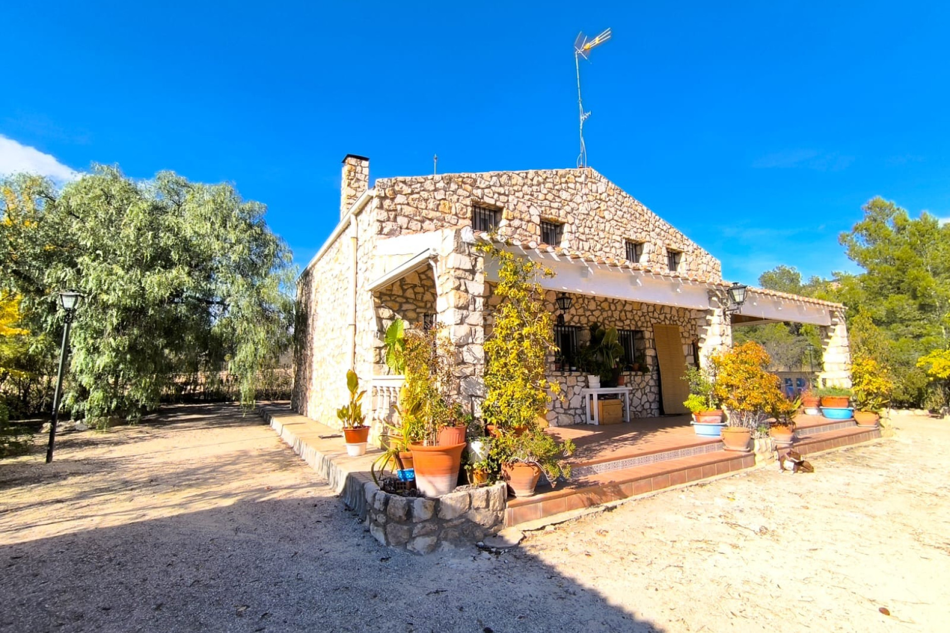 Resale - Villa - Yecla - Inland