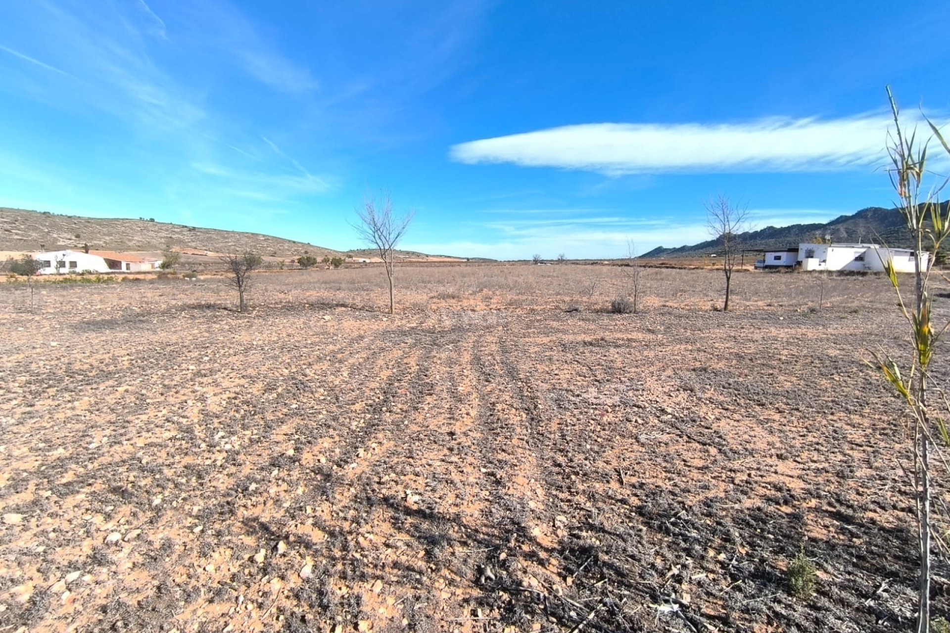 Resale - Villa - Yecla - Inland