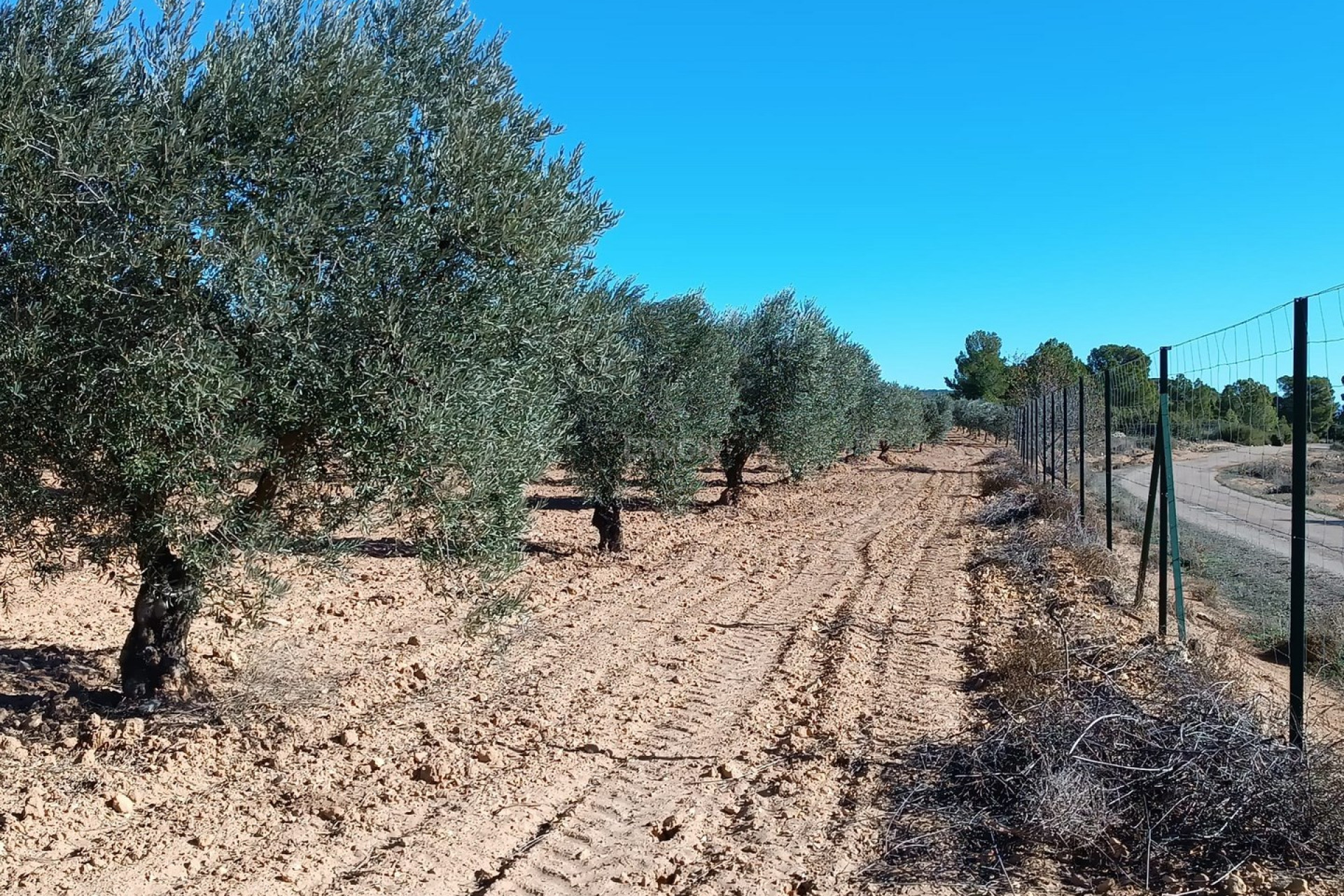 Resale - Villa - Yecla - Inland