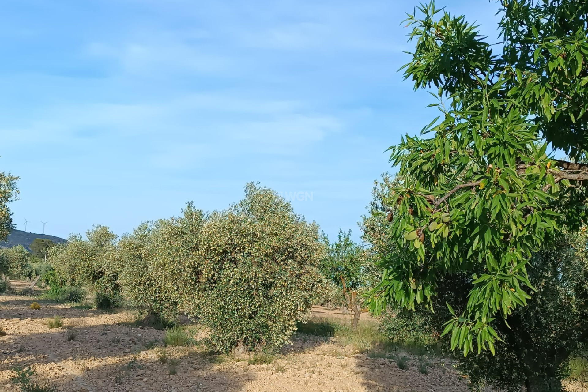 Resale - Villa - Yecla - Inland