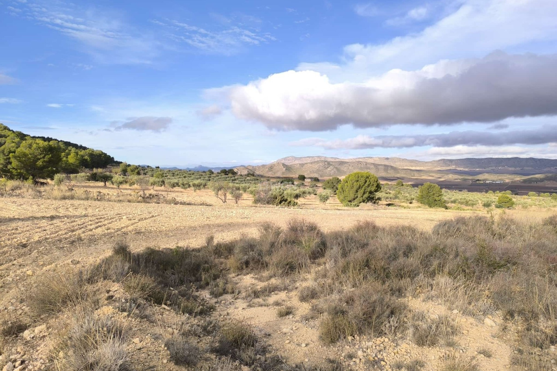 Resale - Villa - Yecla - Inland