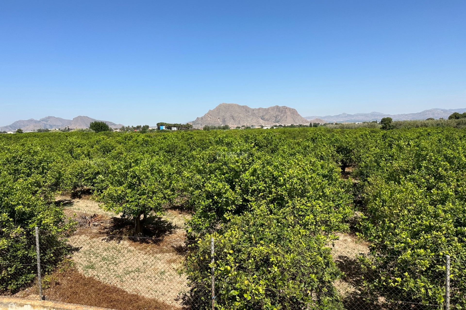 Reventa - Adosado - Benejúzar - Inland