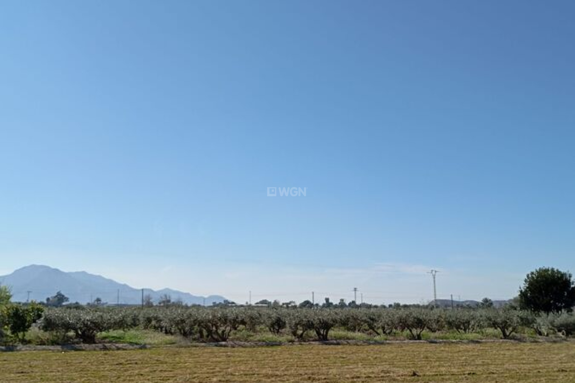 Reventa - Adosado - Catral - Costa Blanca