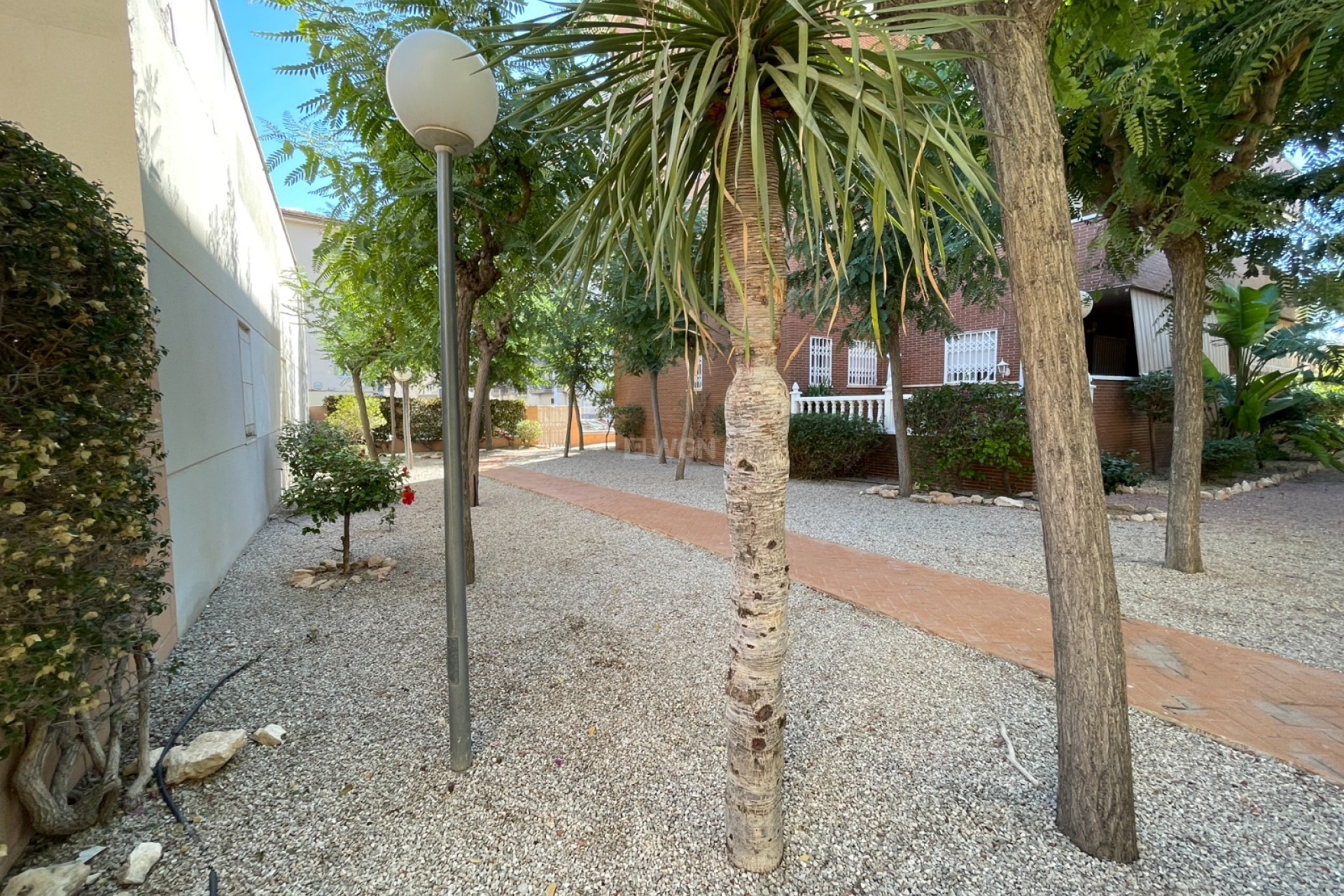 Reventa - Adosado - Elche - Costa Blanca