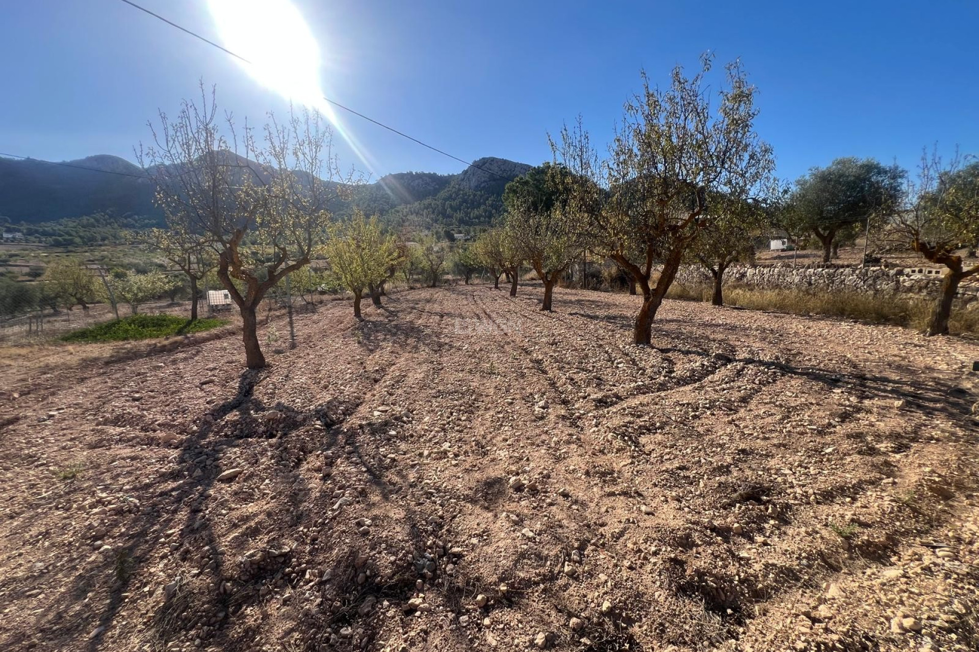 Reventa - Adosado - La Zarza - Inland