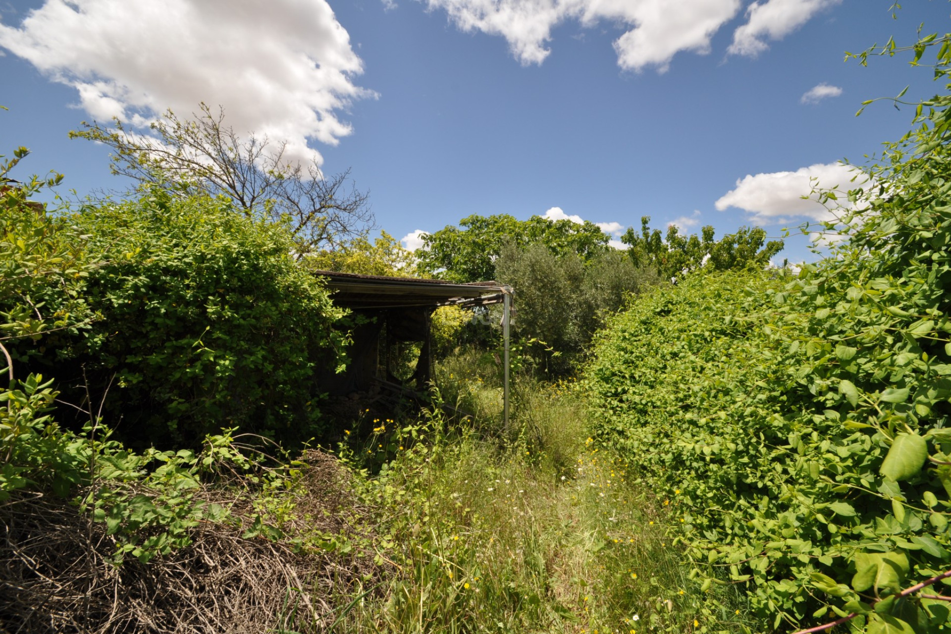 Reventa - Adosado - Pinoso - Inland