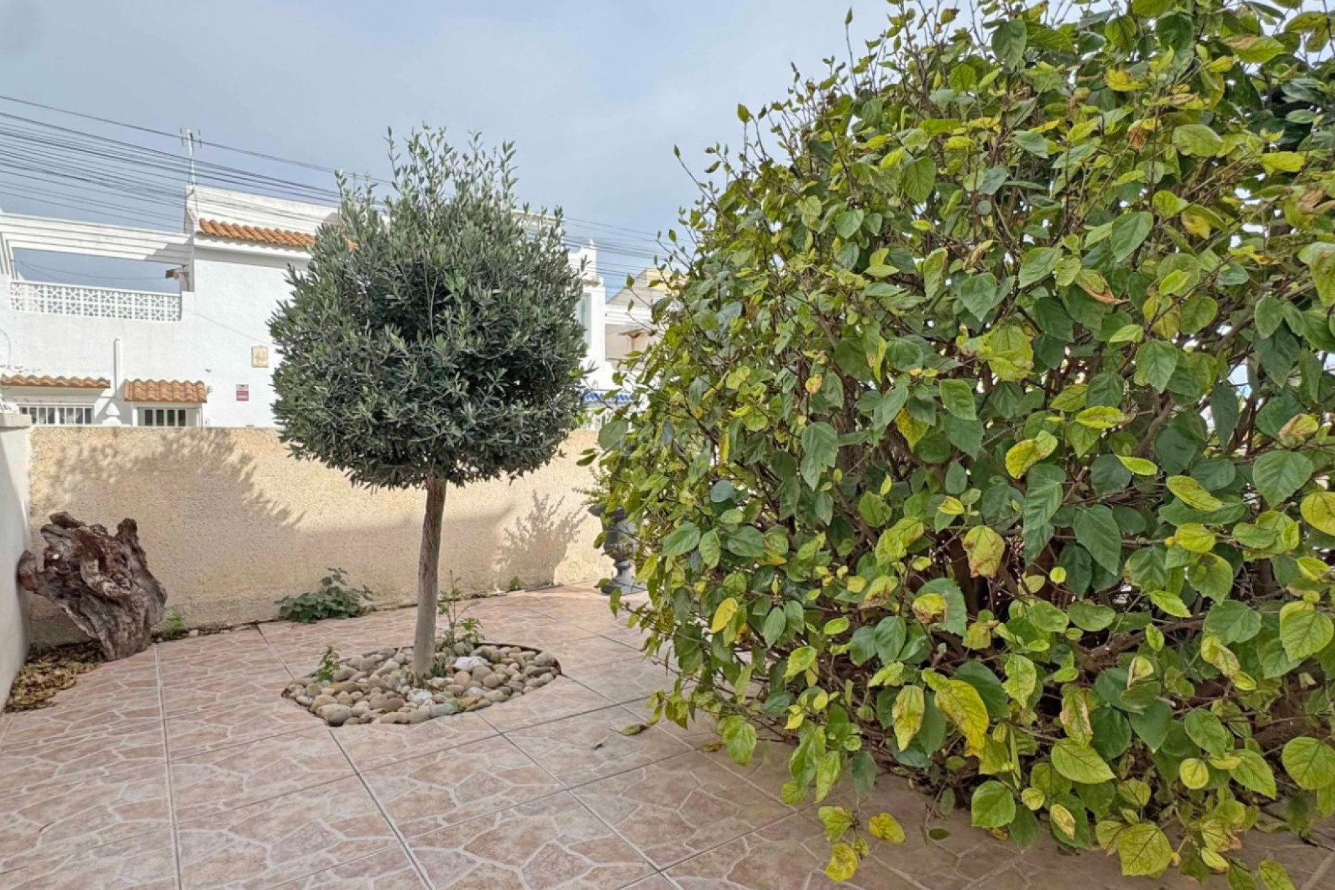 Reventa - Adosado - San Miguel de Salinas - Inland