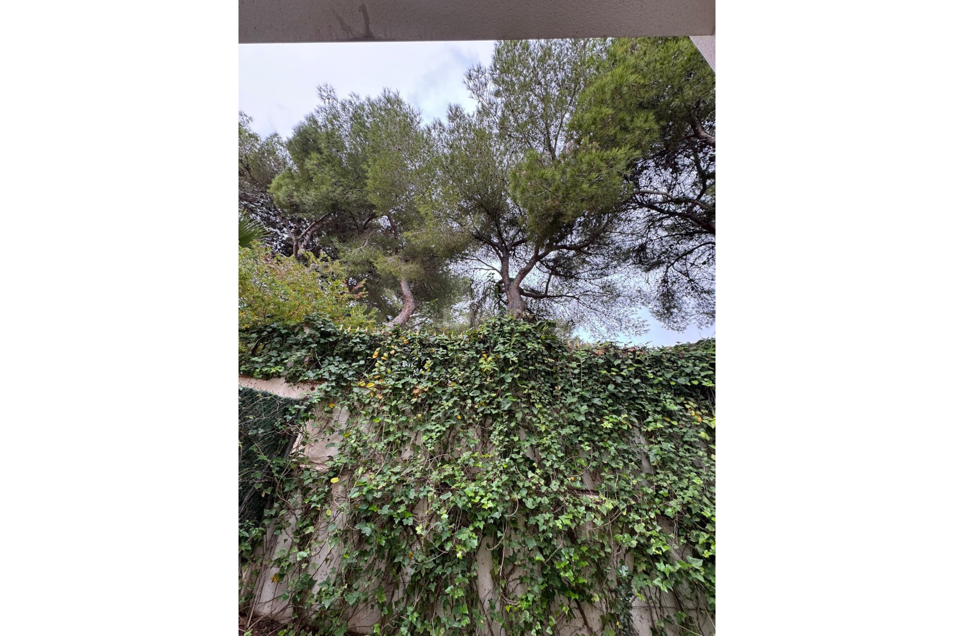 Reventa - Adosado - Torrevieja - Punta Prima