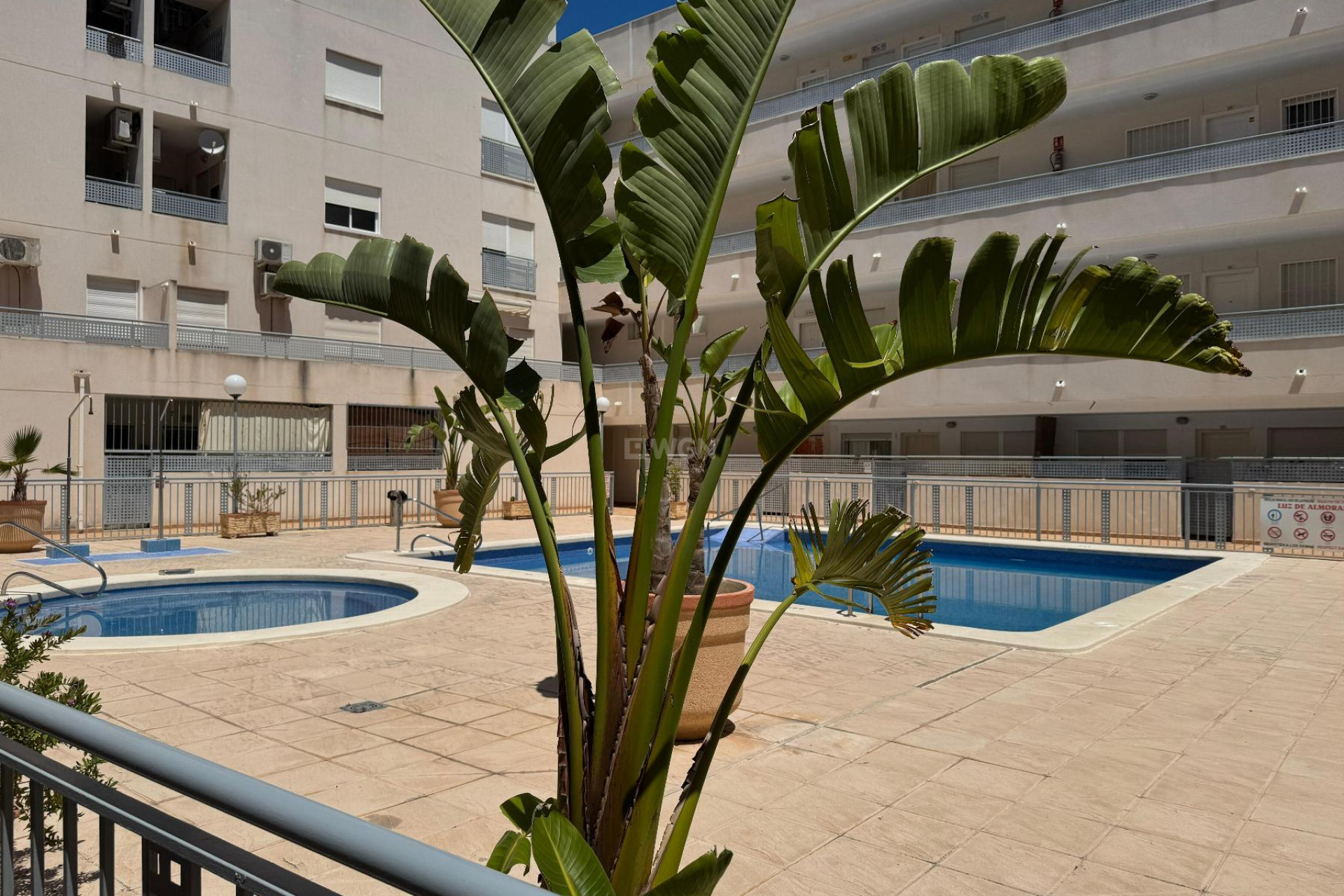 Reventa - Apartamento / piso - Almoradí - Inland