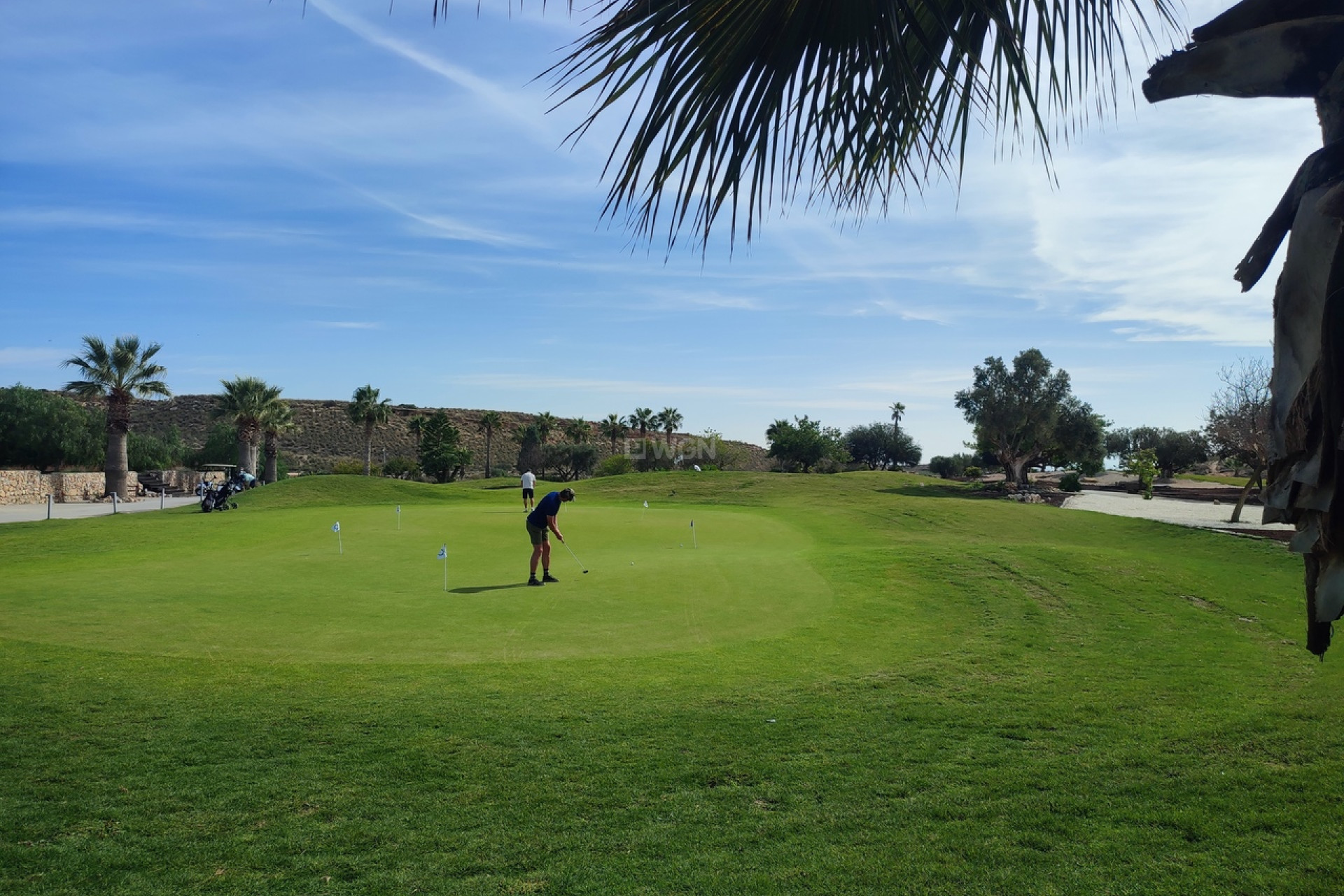 Reventa - Apartamento / piso - Altaona Golf - Inland