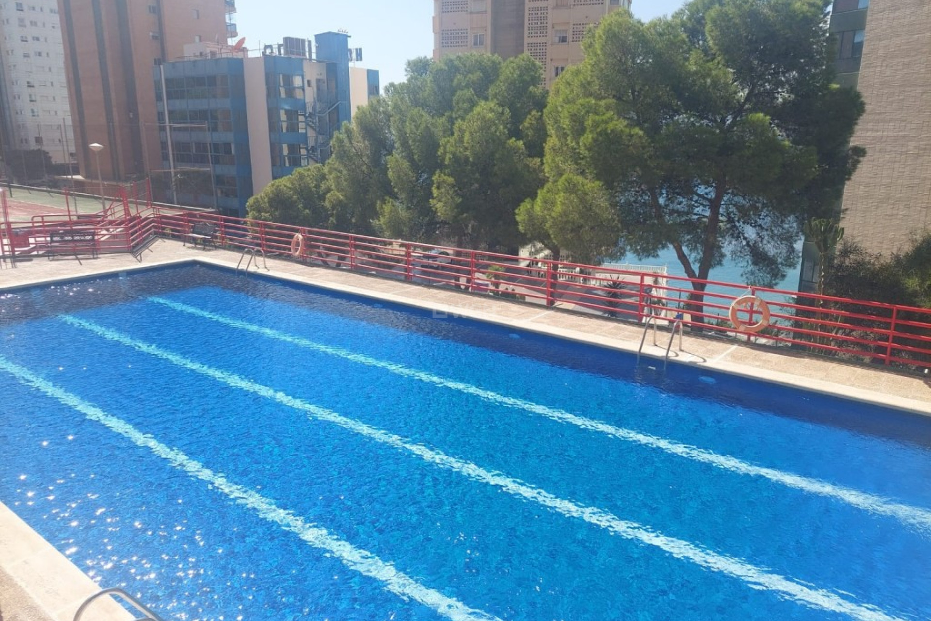 Reventa - Apartamento / piso - Benidorm - Costa Blanca