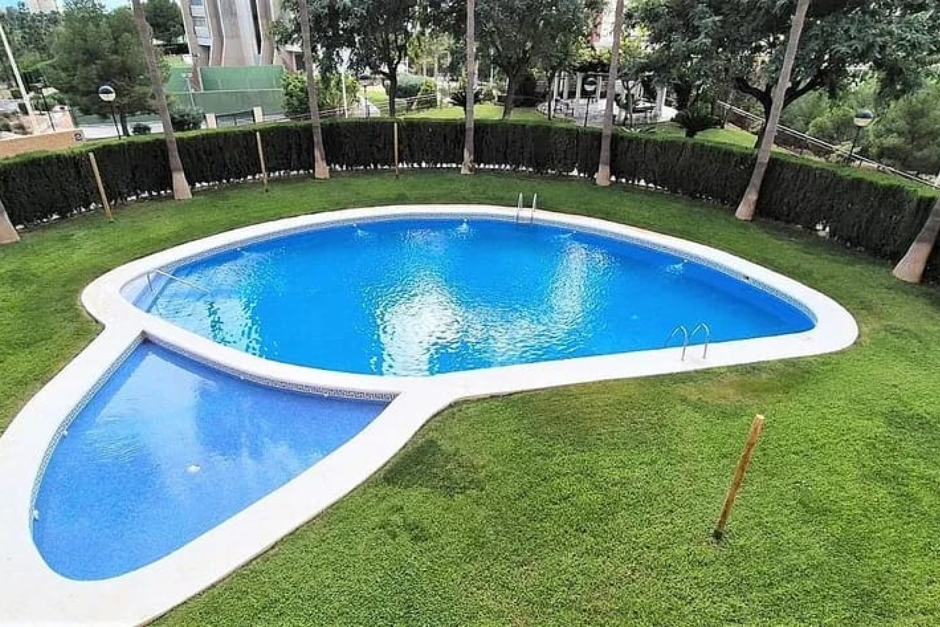 Reventa - Apartamento / piso - Benidorm - Costa Blanca