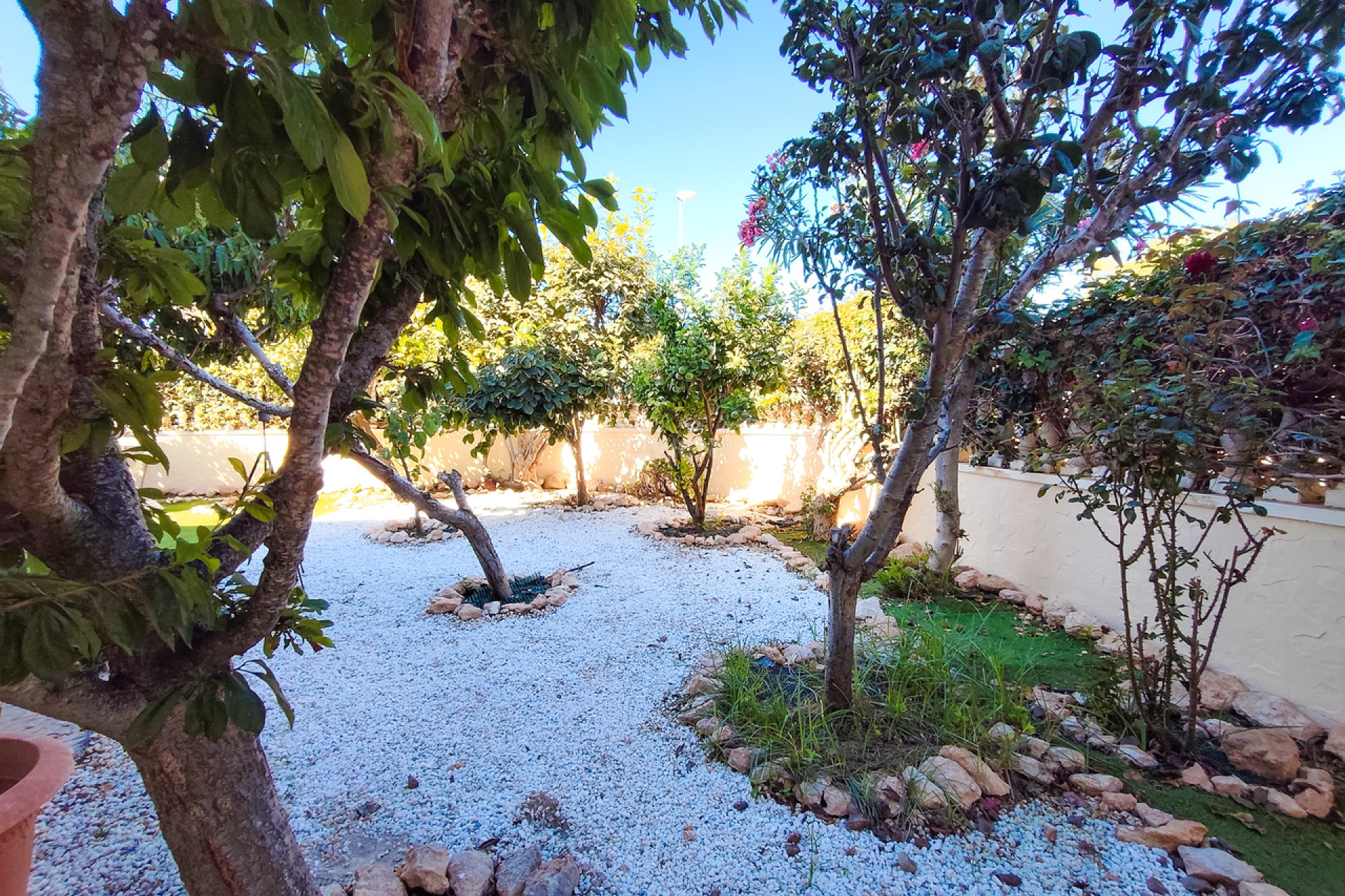 Reventa - Apartamento / piso - Cabo Roig - Costa Blanca