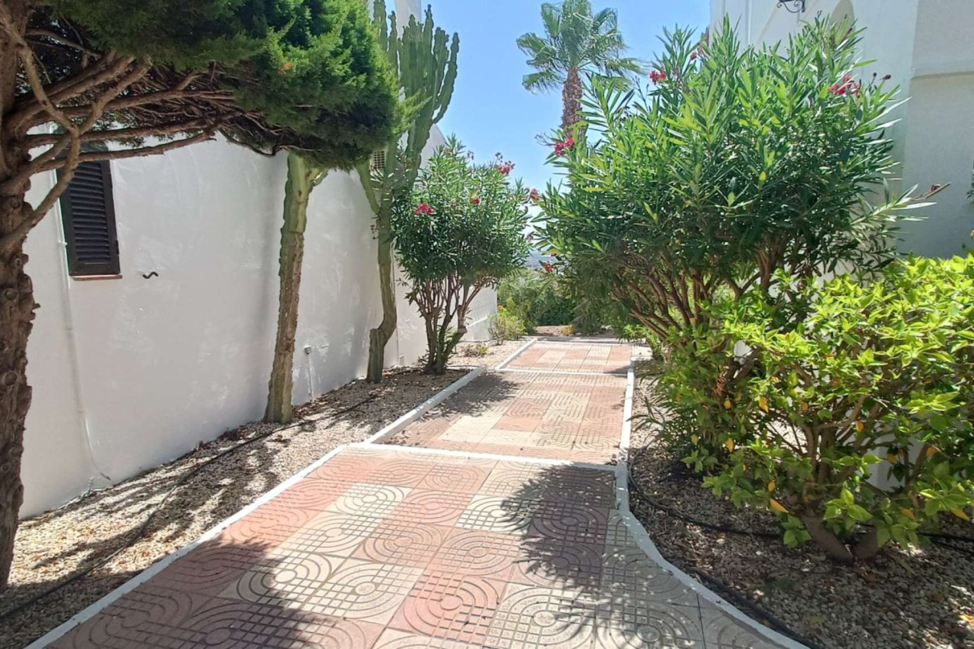 Reventa - Apartamento / piso - Ciudad Quesada - Costa Blanca