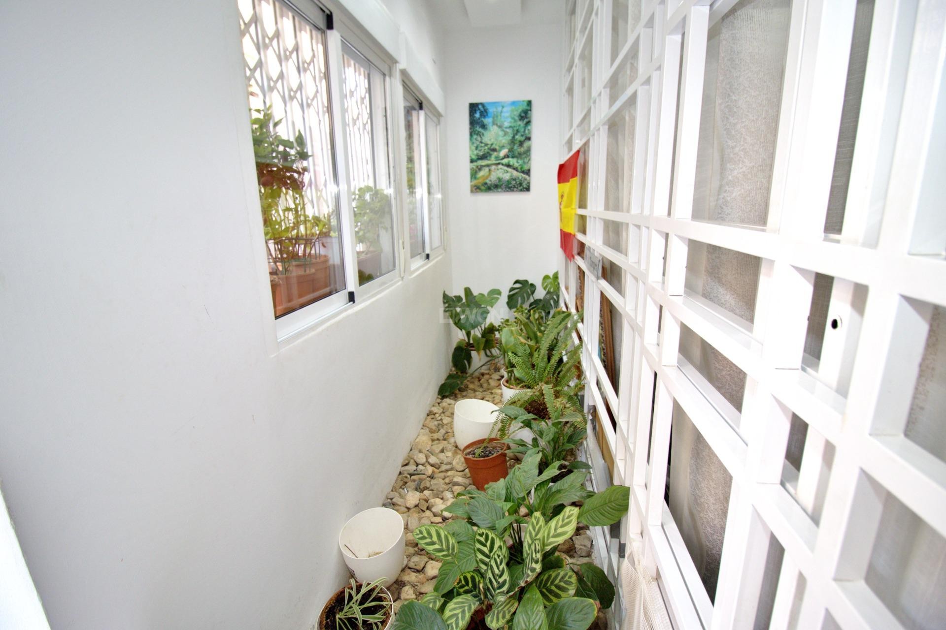 Reventa - Apartamento / piso - Elche - Plaza Crevillente-juzgados