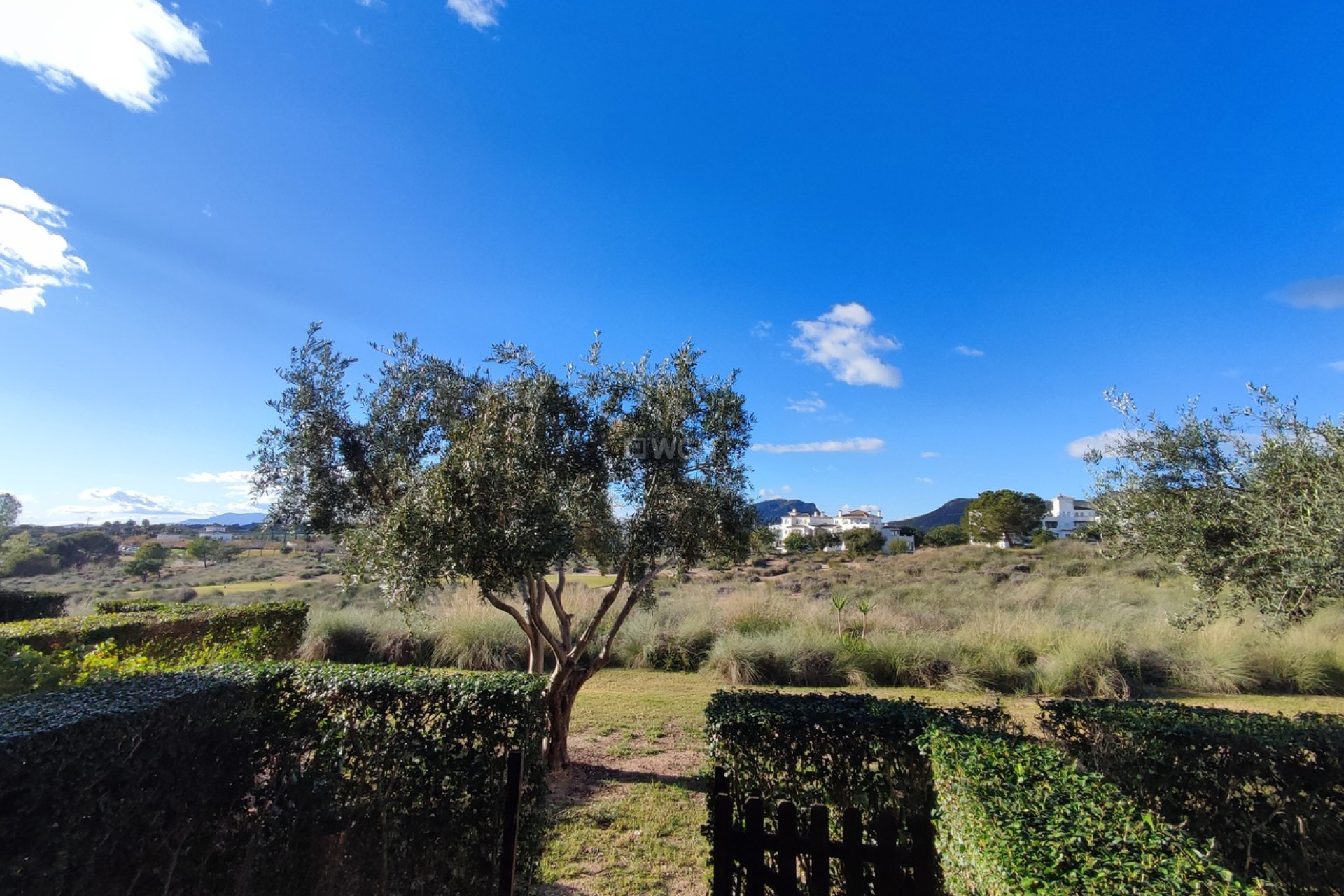 Reventa - Apartamento / piso - Hacienda Riquelme Golf Resort - Inland