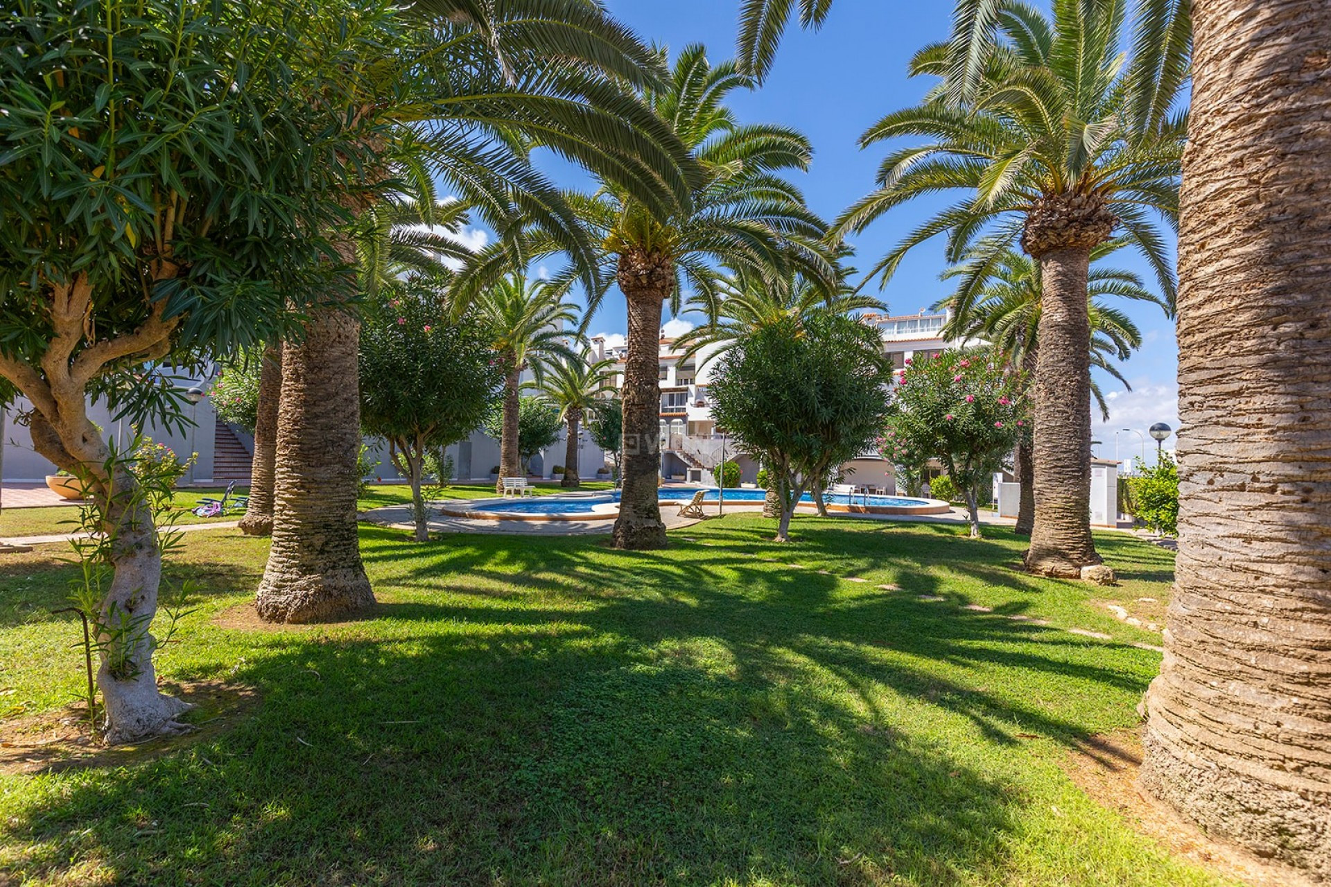 Reventa - Apartamento / piso - La Mata - Costa Blanca