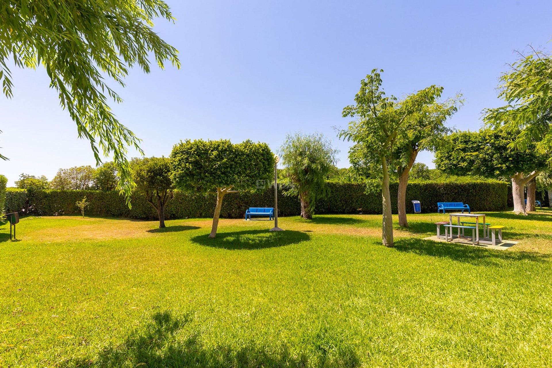 Reventa - Apartamento / piso - La Mata - Costa Blanca