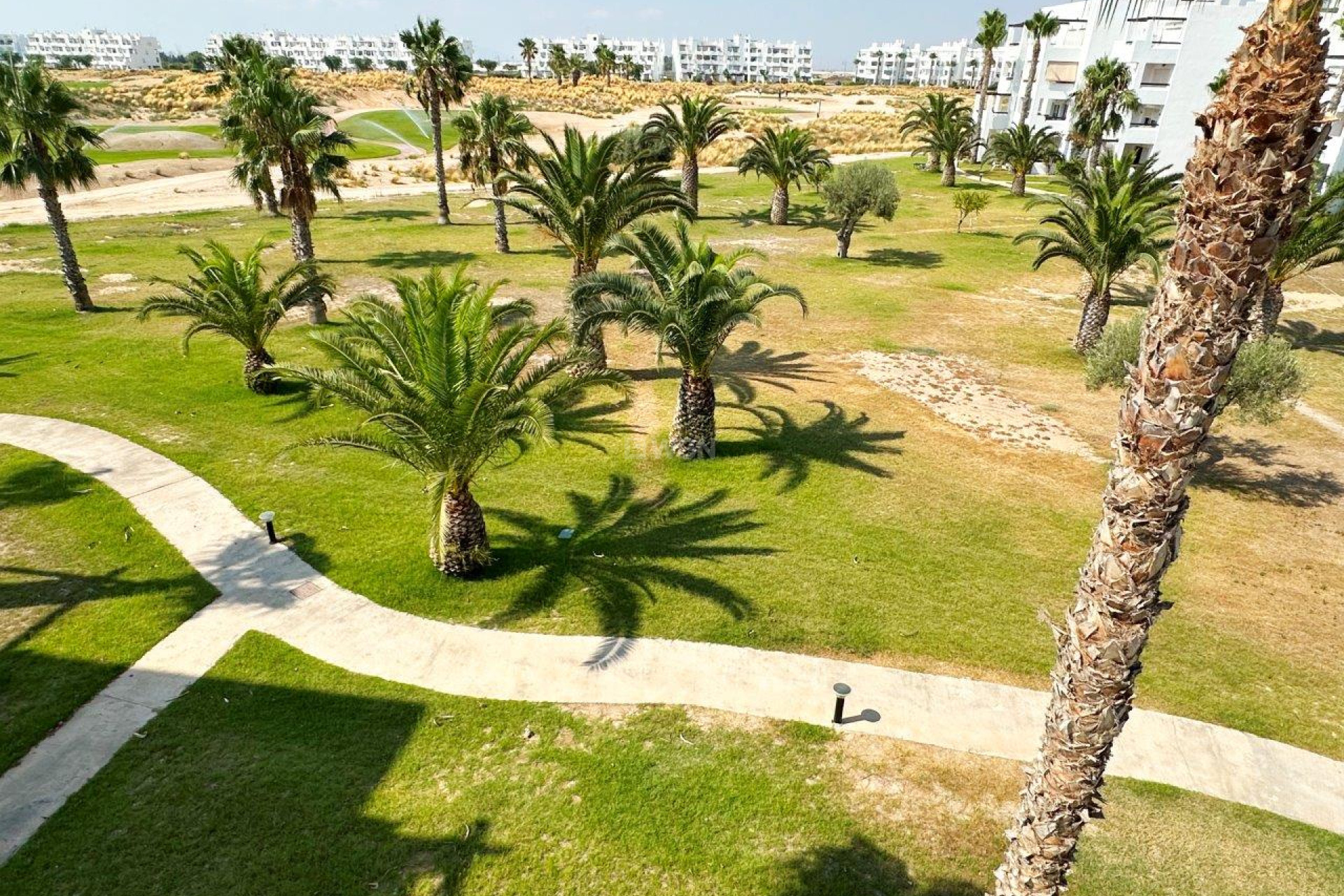 Reventa - Apartamento / piso - Las Terrazas de la Torre Golf Resort - Inland