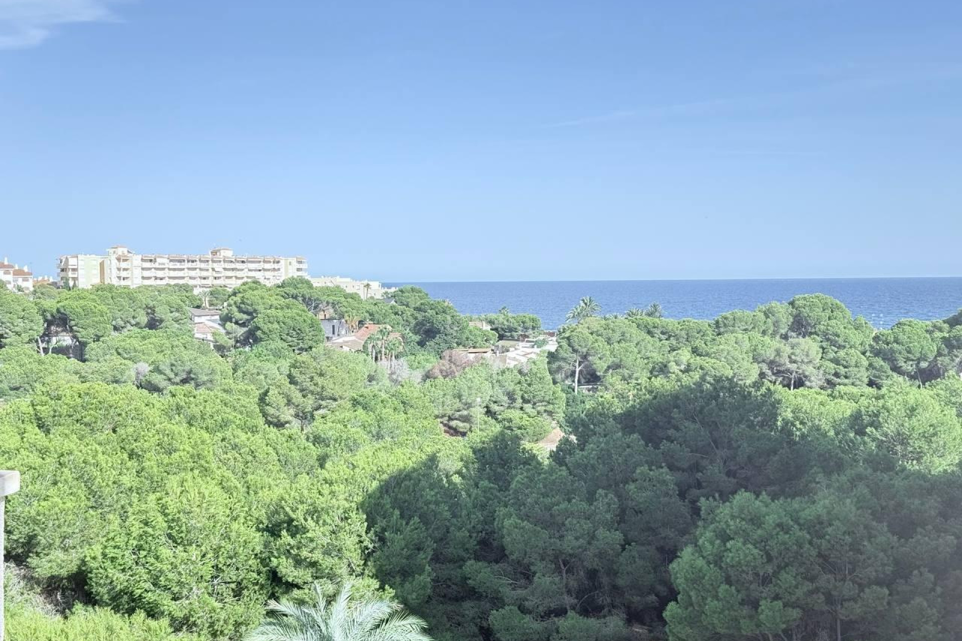 Reventa - Apartamento / piso - Orihuela Costa - Campoamor