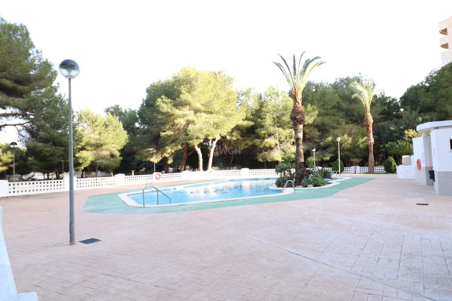 Reventa - Apartamento / piso - Orihuela Costa - Costa Blanca