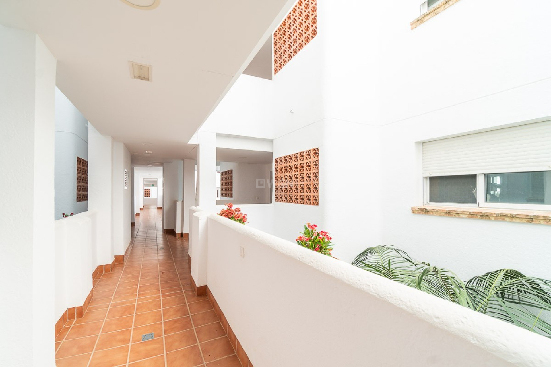 Reventa - Apartamento / piso - Orihuela Costa - Costa Blanca