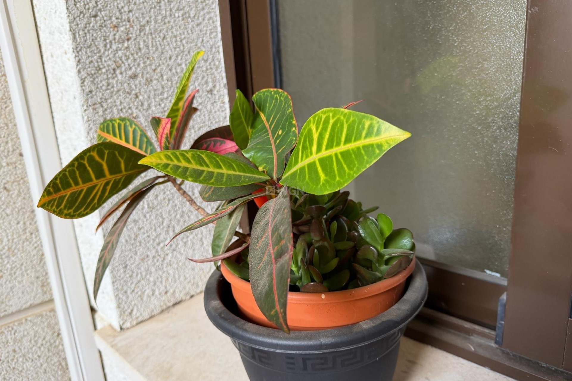 Reventa - Apartamento / piso - Orihuela Costa - Las Ramblas