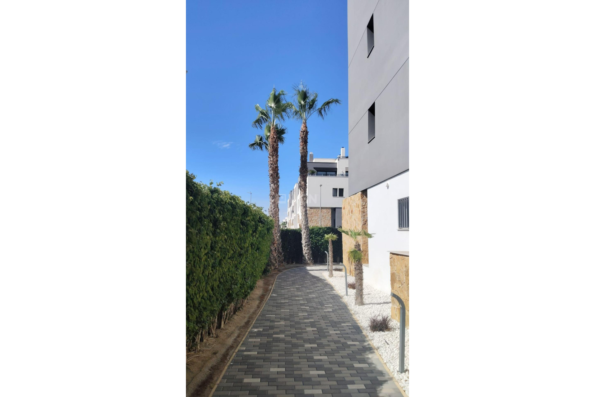 Reventa - Apartamento / piso - Orihuela Costa - PAU 8