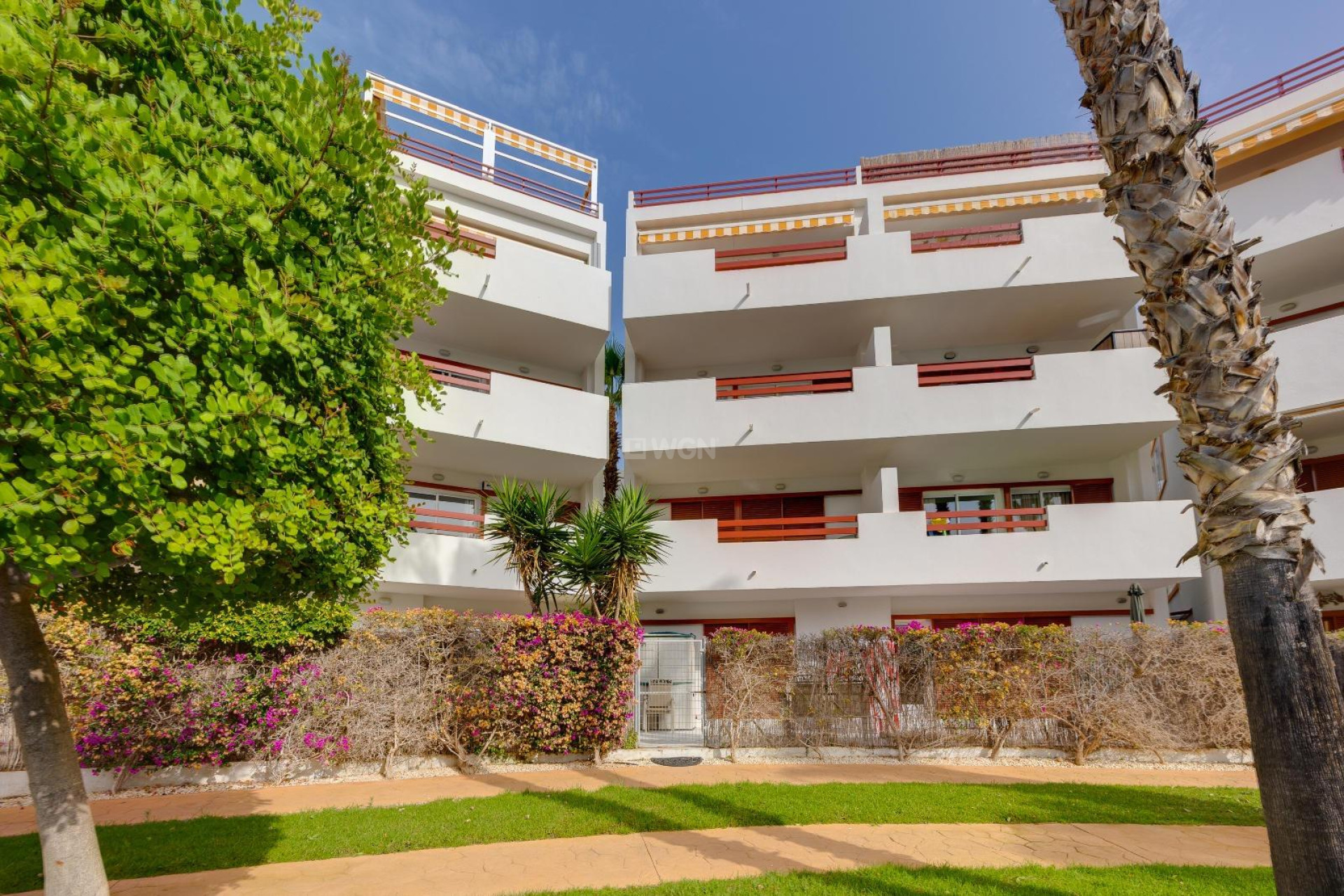 Reventa - Apartamento / piso - Orihuela Costa - Playa Flamenca