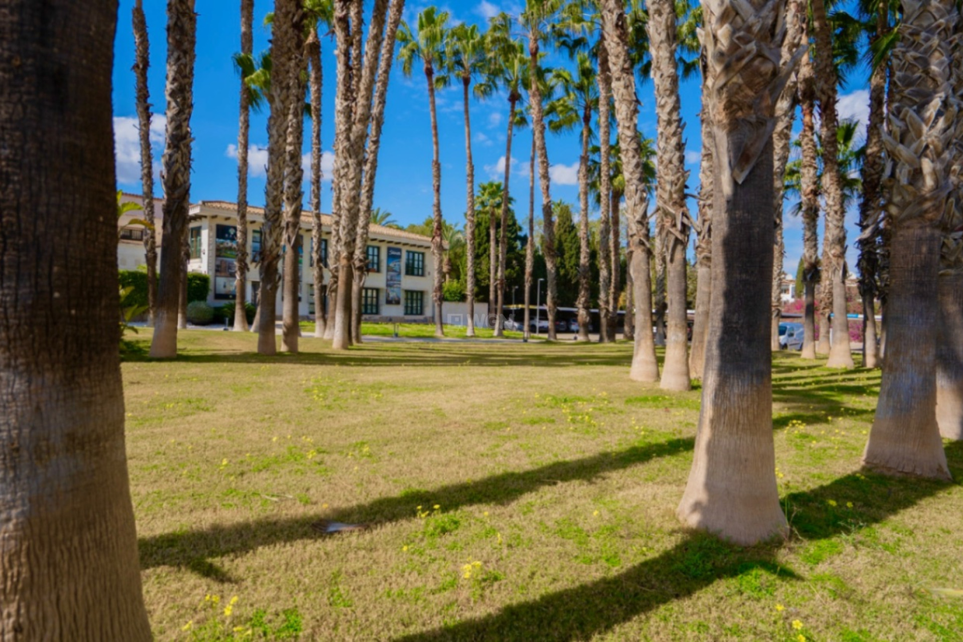 Reventa - Apartamento / piso - Orihuela - Inland