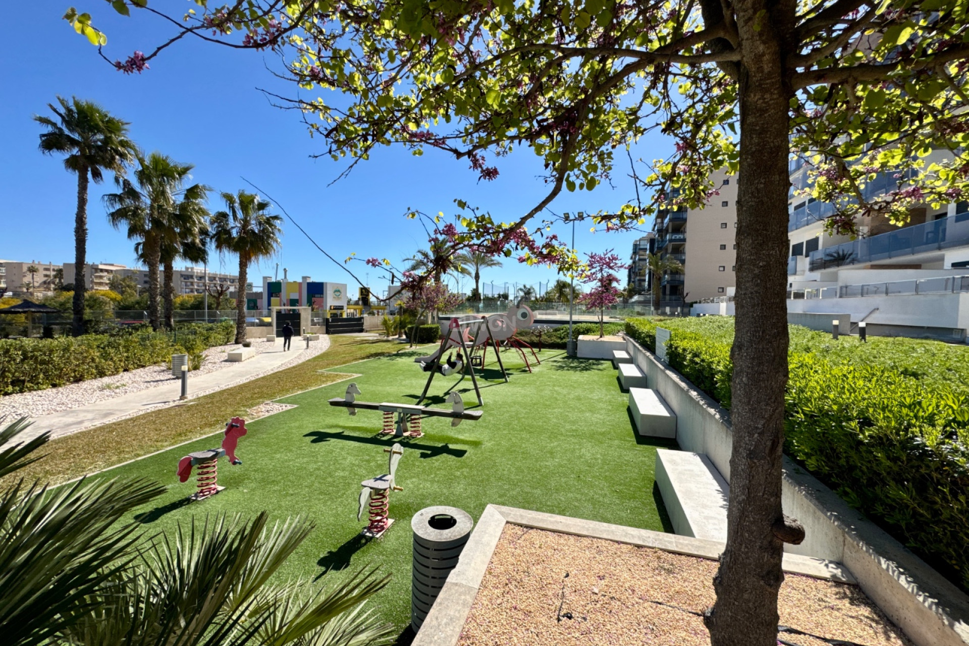 Reventa - Apartamento / piso - Pilar de la Horadada - Costa Blanca