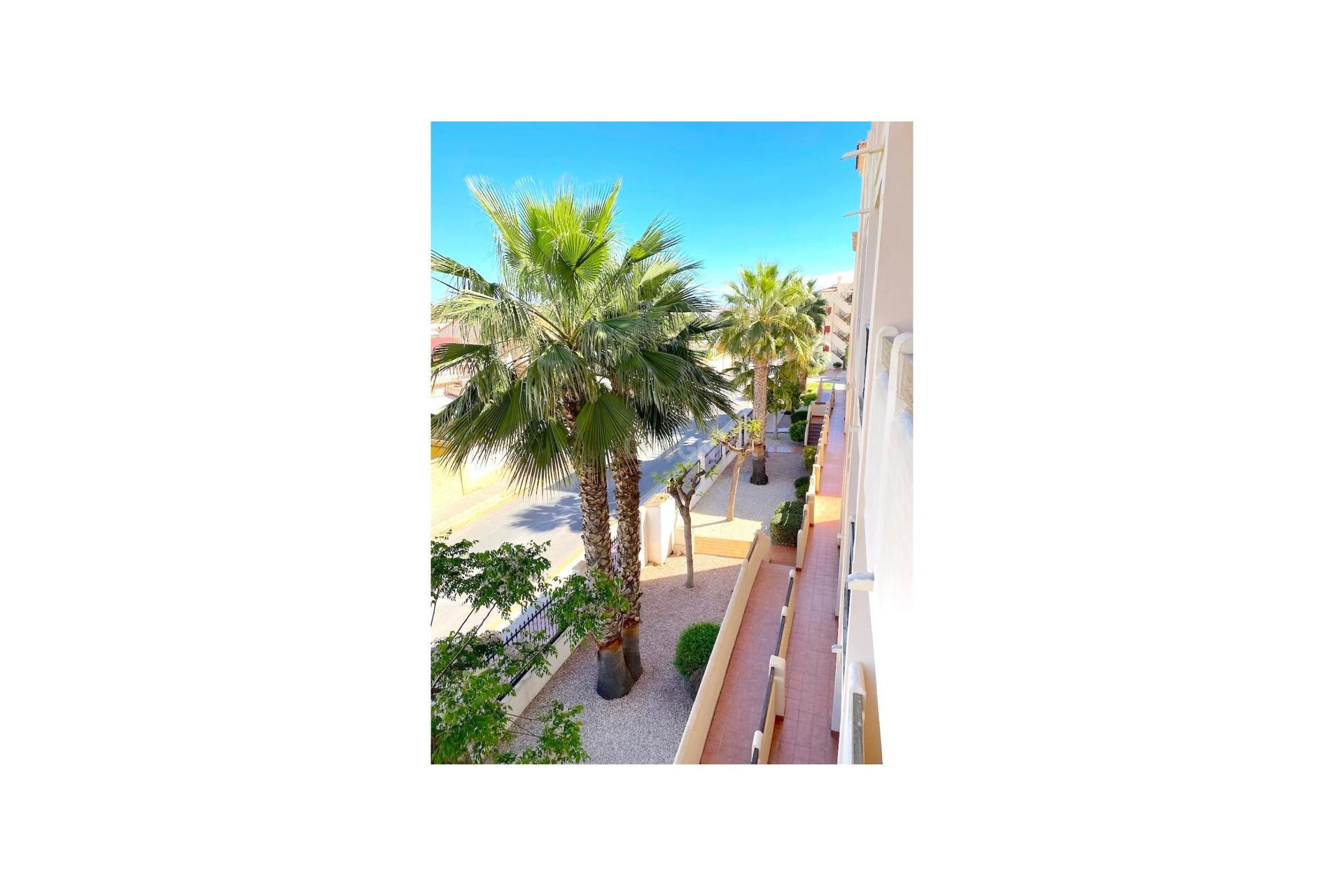 Reventa - Apartamento / piso - Playa Flamenca - Costa Blanca