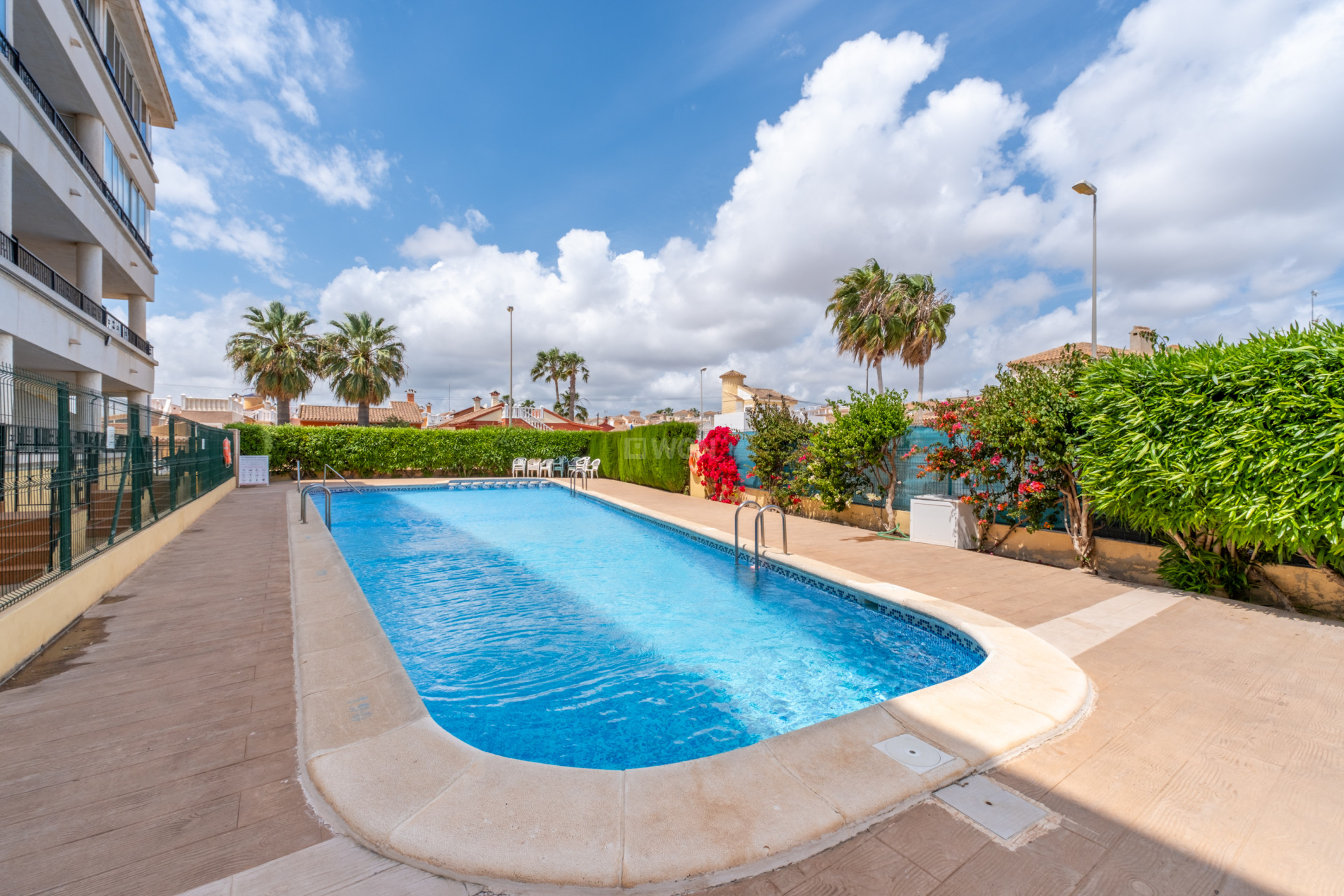 Reventa - Apartamento / piso - Playa Flamenca - Costa Blanca