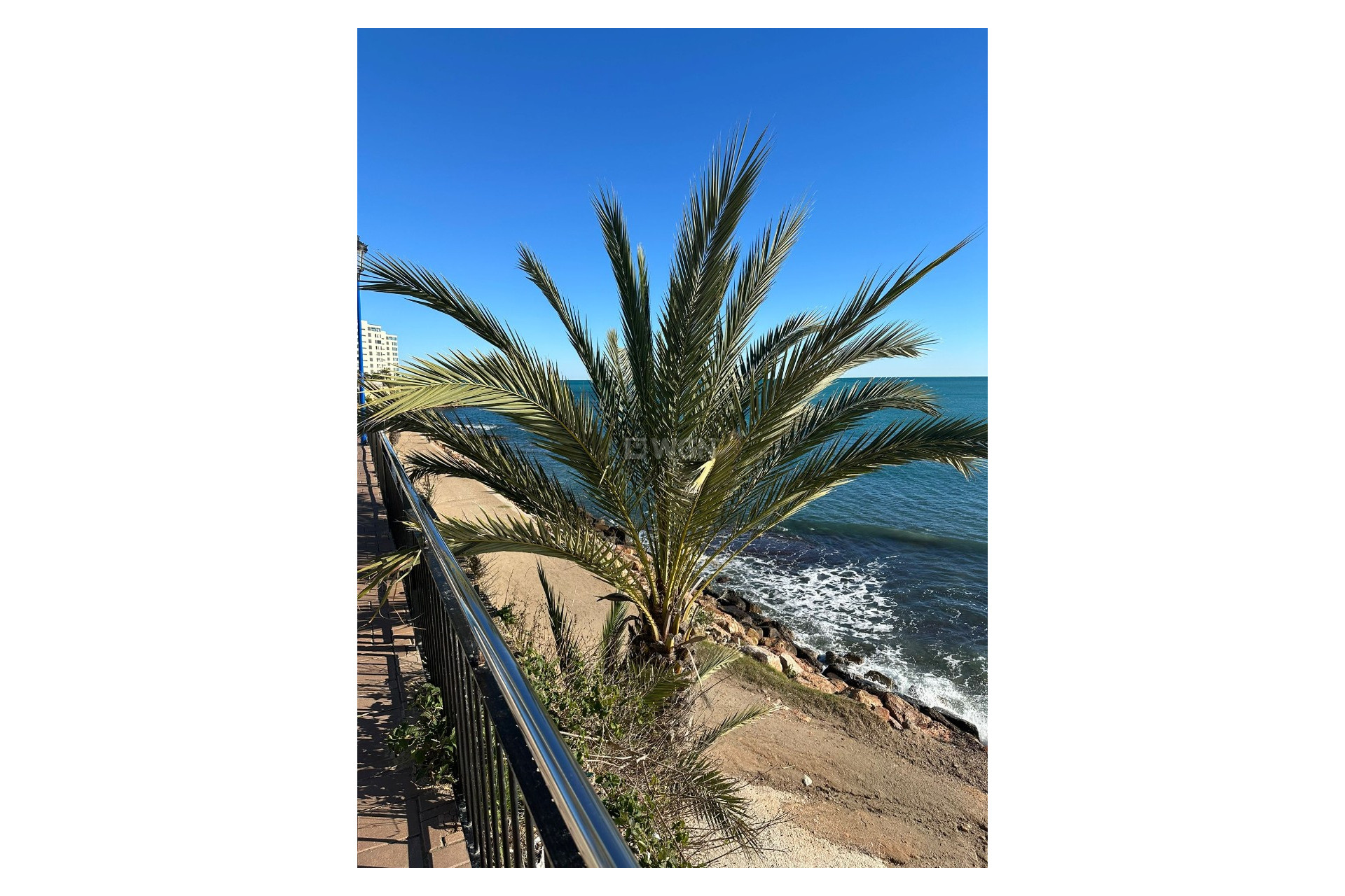 Reventa - Apartamento / piso - Punta Prima - Costa Blanca