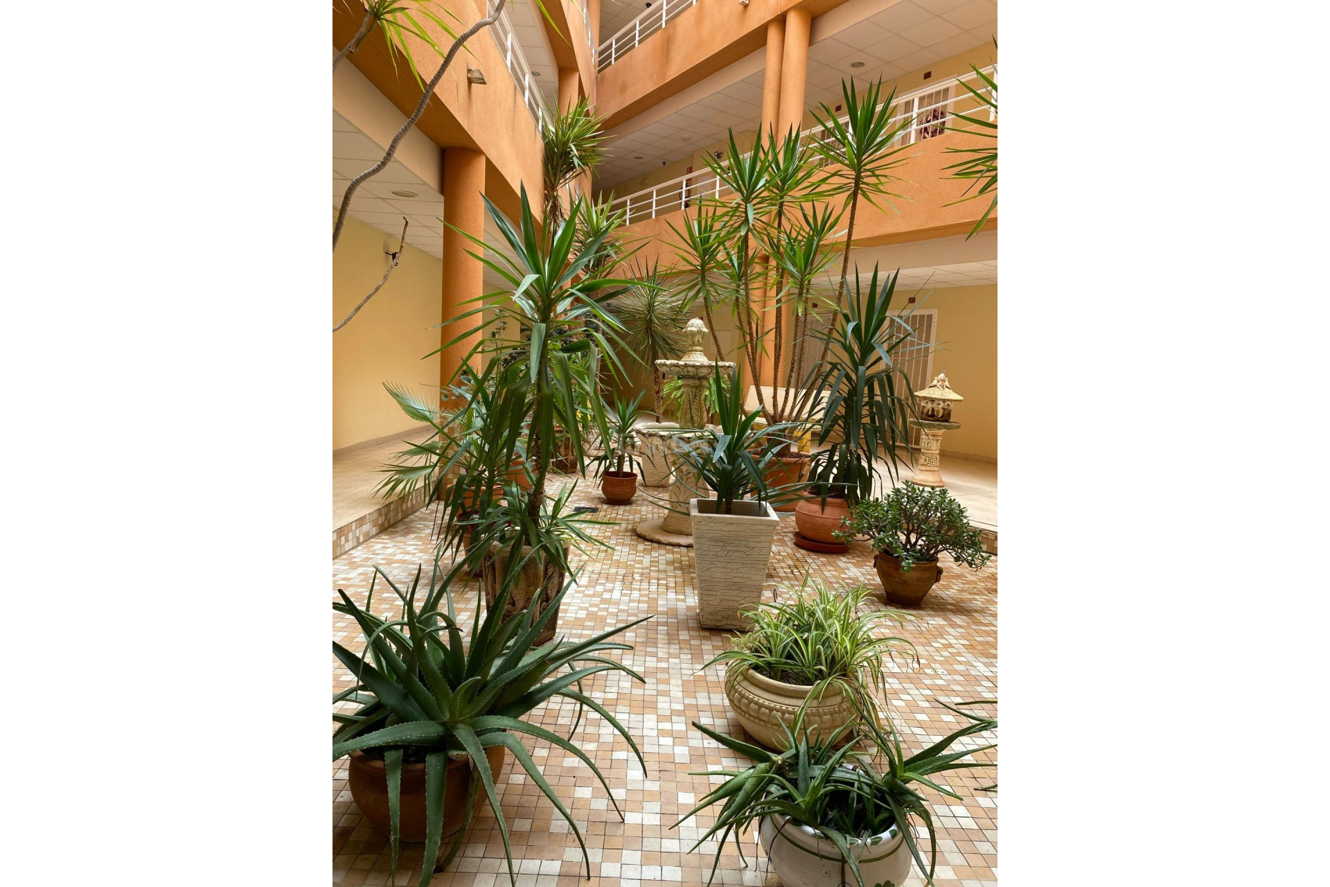 Reventa - Apartamento / piso - San Miguel de Salinas - Pueblo 9