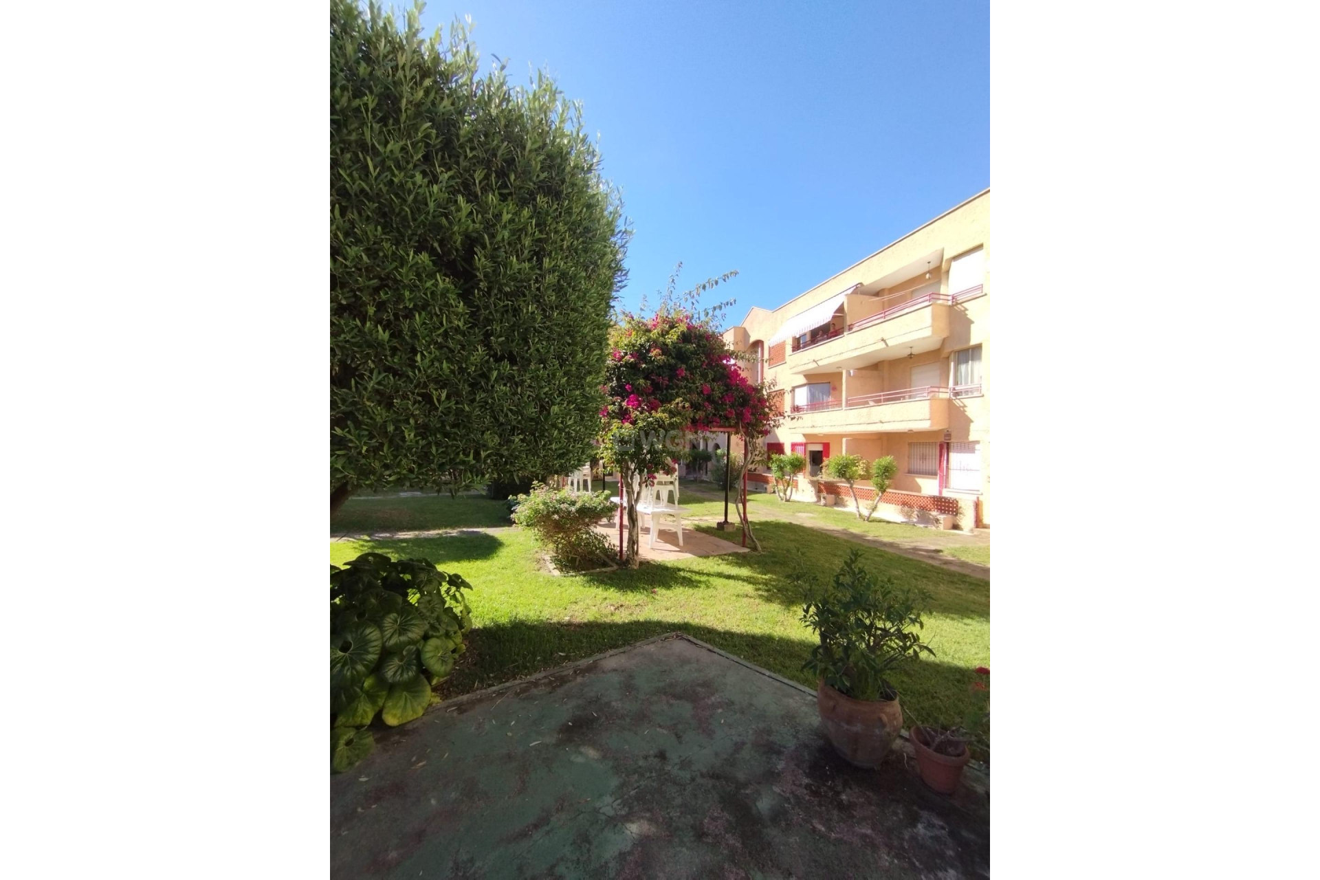 Reventa - Apartamento / piso - San Pedro del Pinatar - Lo pagan