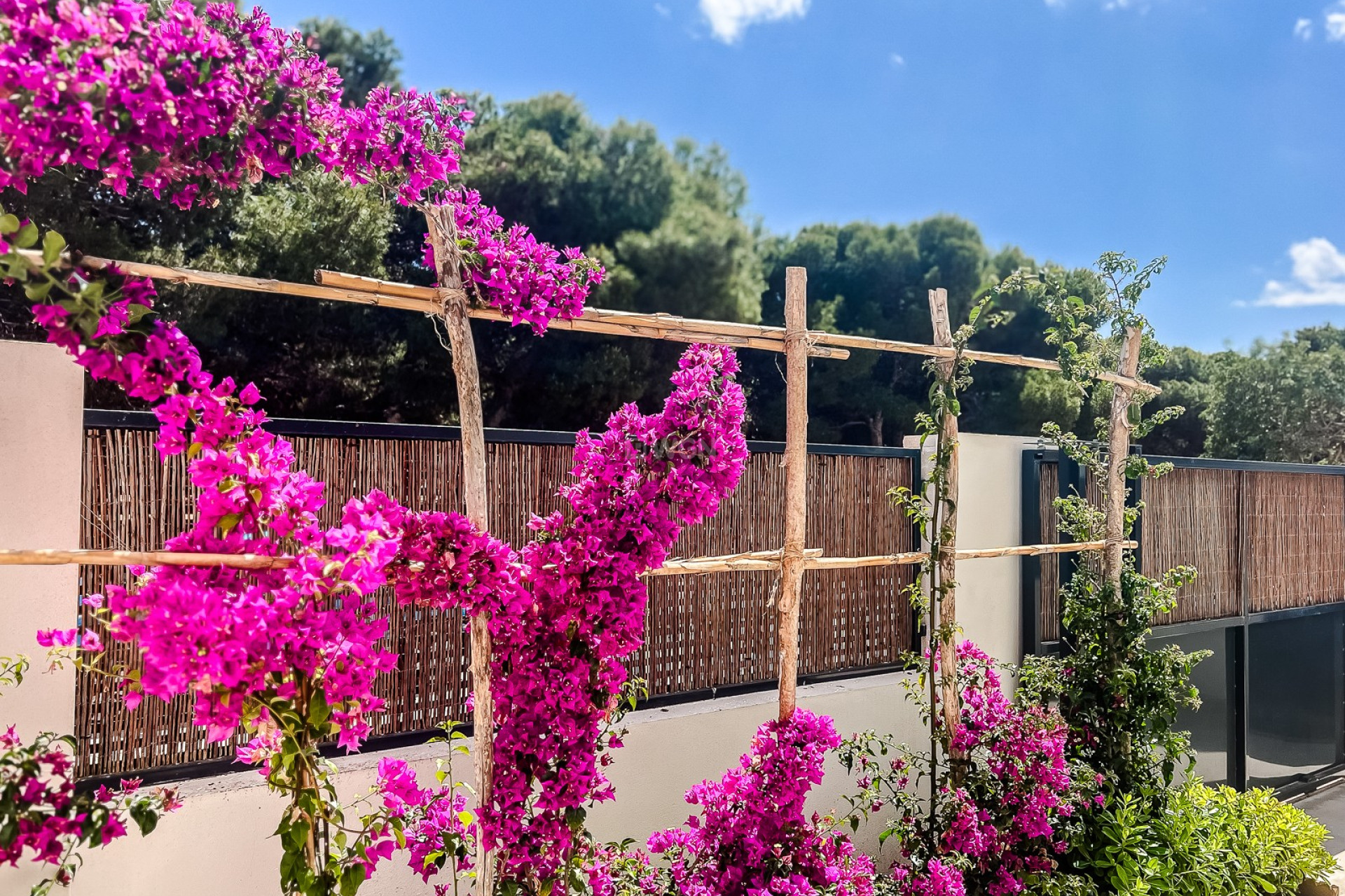Reventa - Apartamento / piso - Santiago de la ribera - Costa Calida