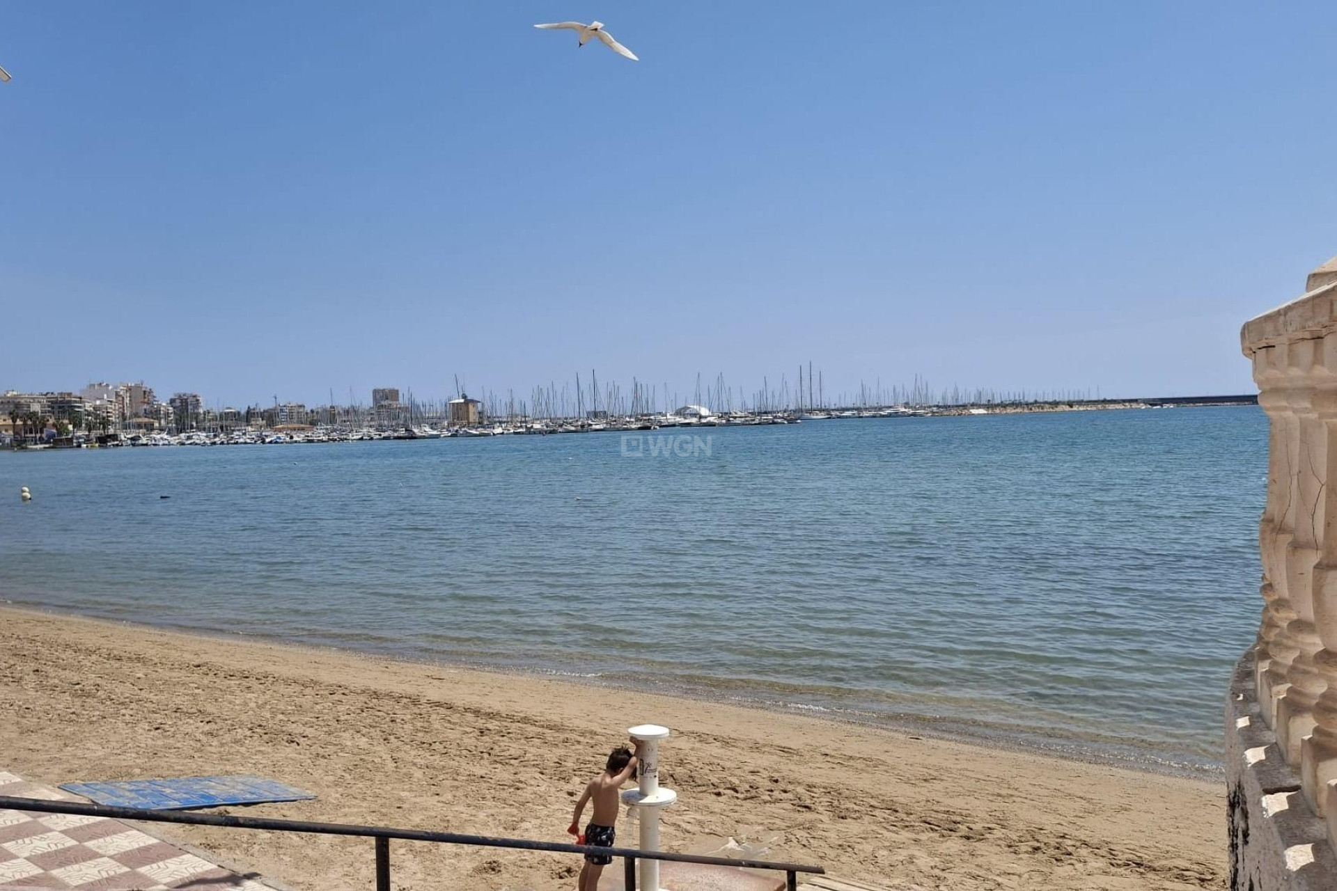 Reventa - Apartamento / piso - Torrevieja - Acequion