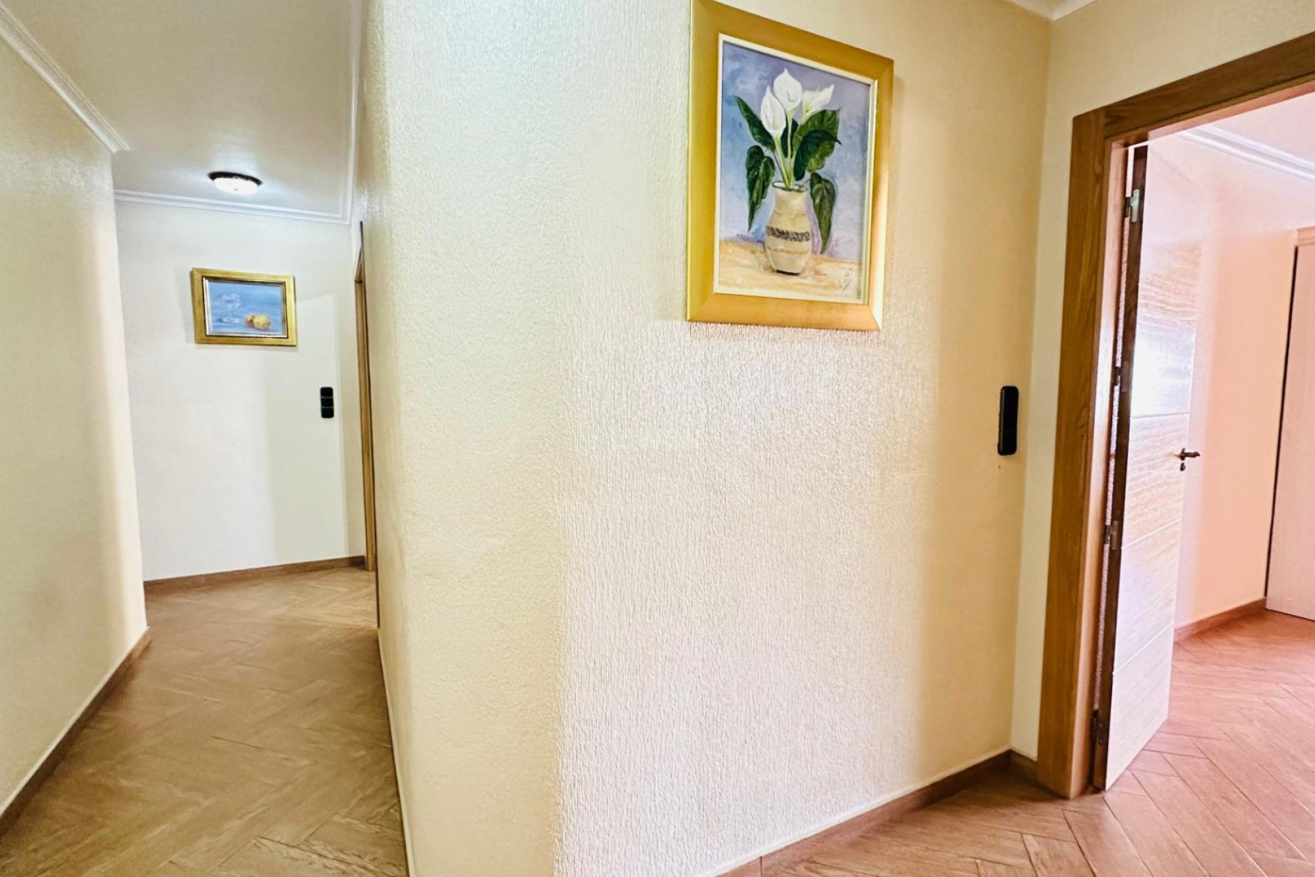 Reventa - Apartamento / piso - Torrevieja - Centro