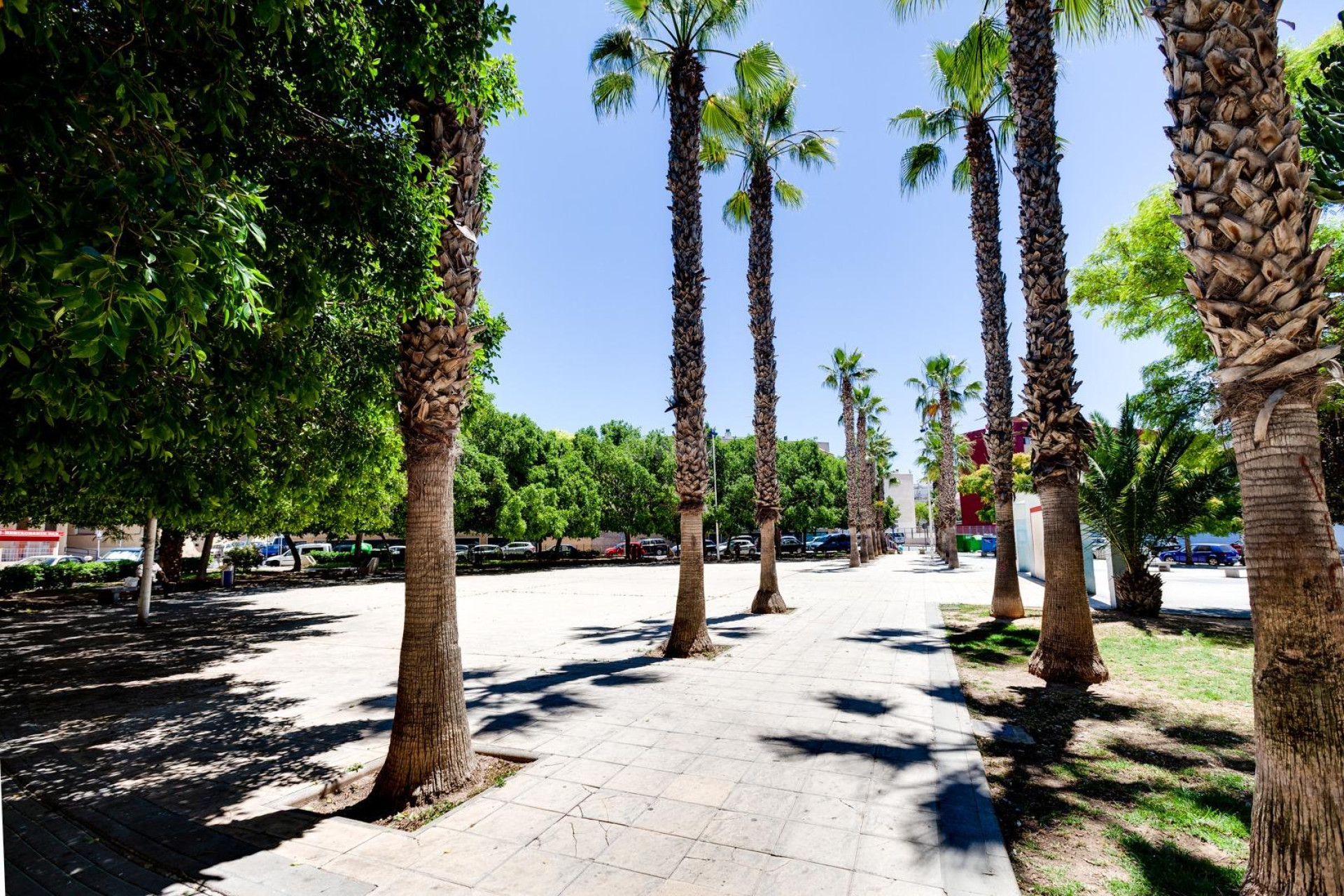 Reventa - Apartamento / piso - Torrevieja - Centro
