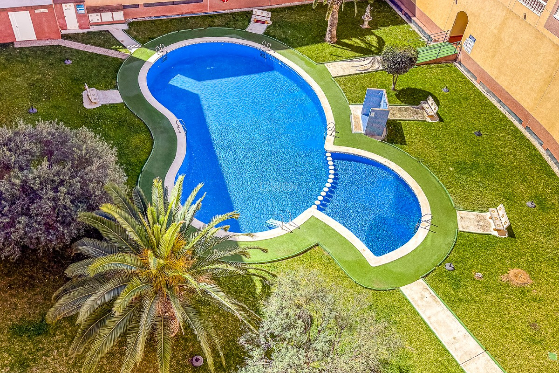Reventa - Apartamento / piso - Torrevieja - Costa Blanca