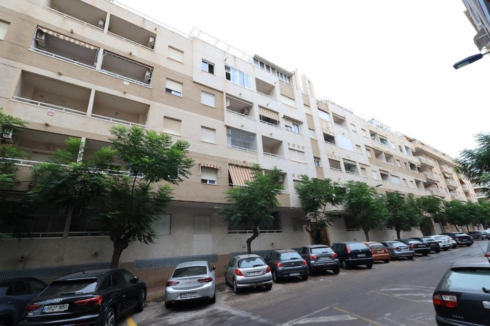 Reventa - Apartamento / piso - Torrevieja - Costa Blanca