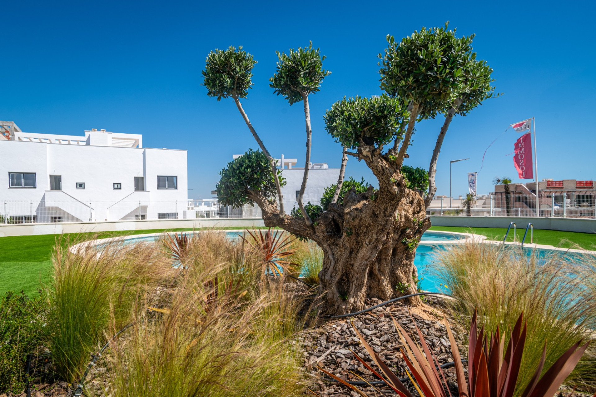 Reventa - Apartamento / piso - Torrevieja - Costa Blanca