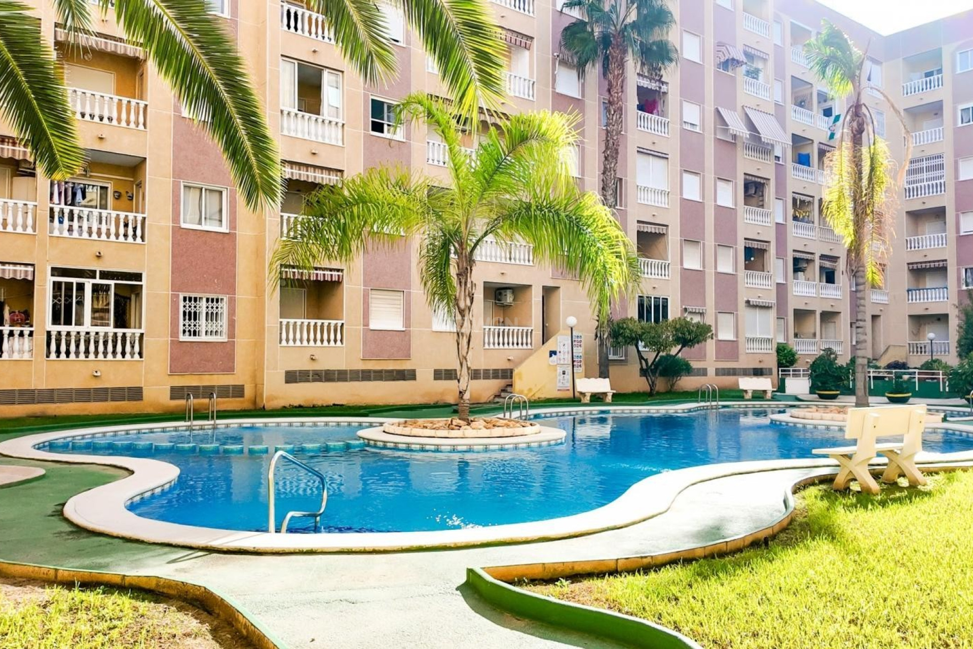 Reventa - Apartamento / piso - Torrevieja - Costa Blanca