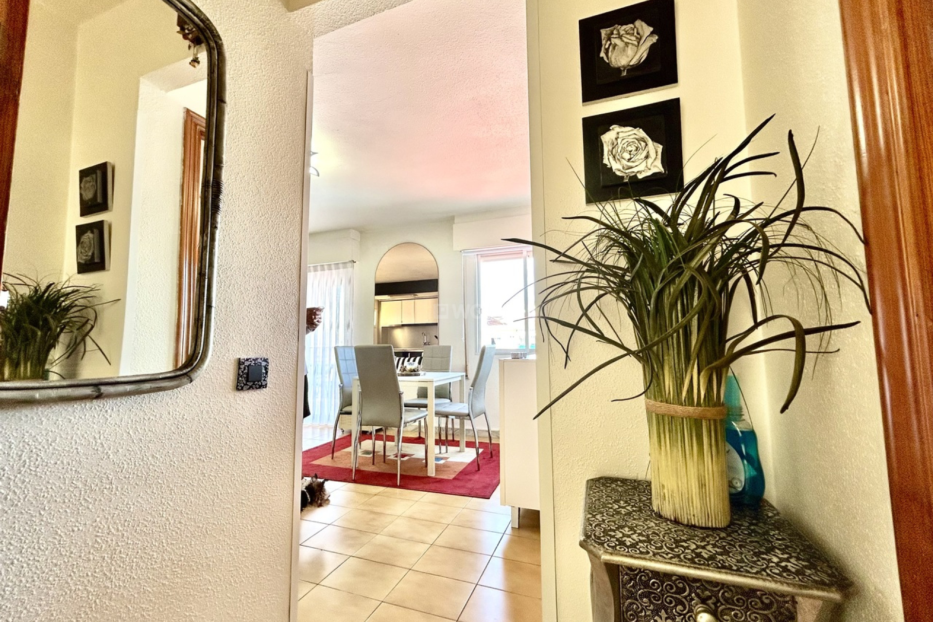 Reventa - Apartamento / piso - Torrevieja - Costa Blanca