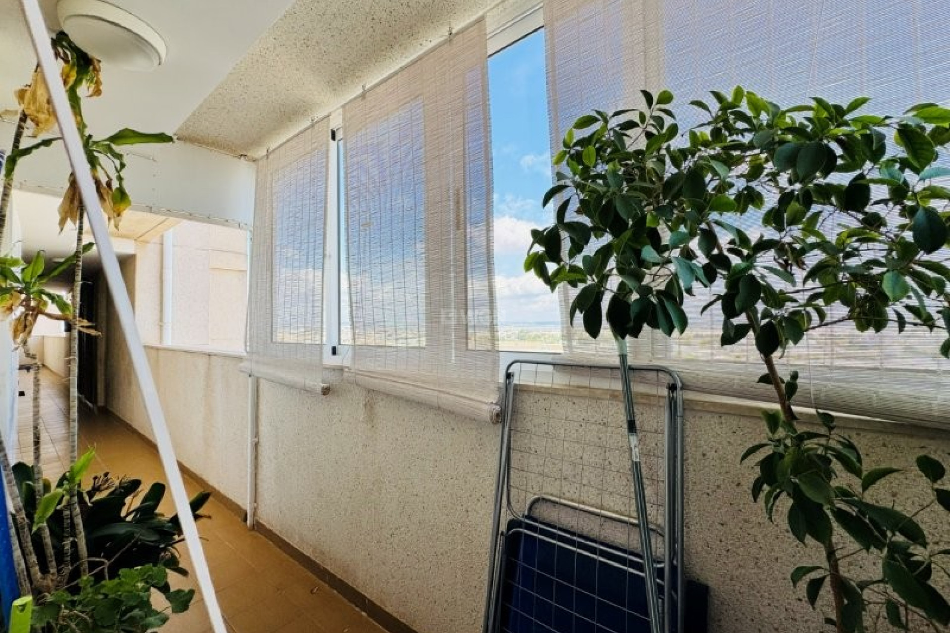 Reventa - Apartamento / piso - Torrevieja - Costa Blanca