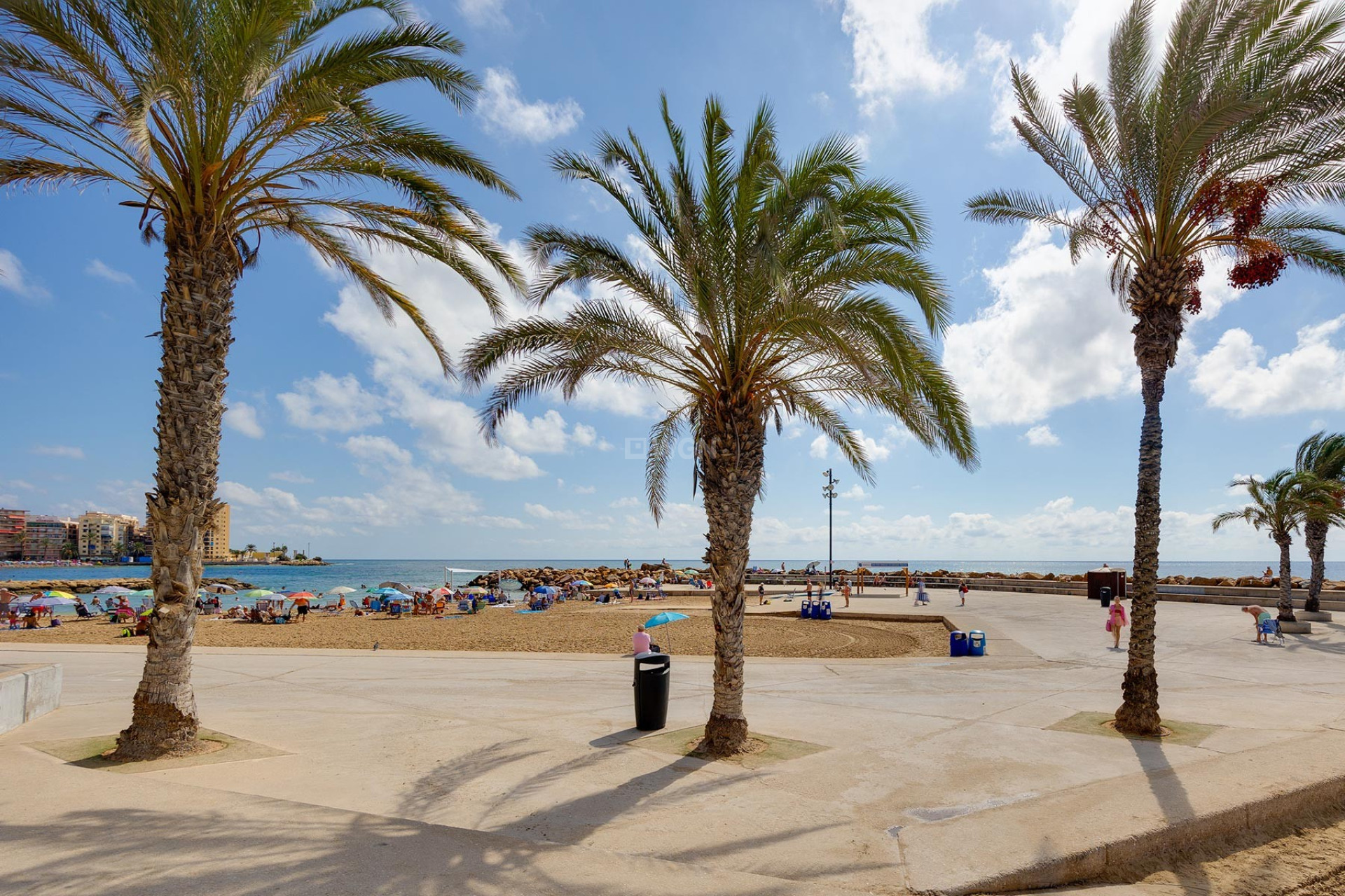 Reventa - Apartamento / piso - Torrevieja - Costa Blanca