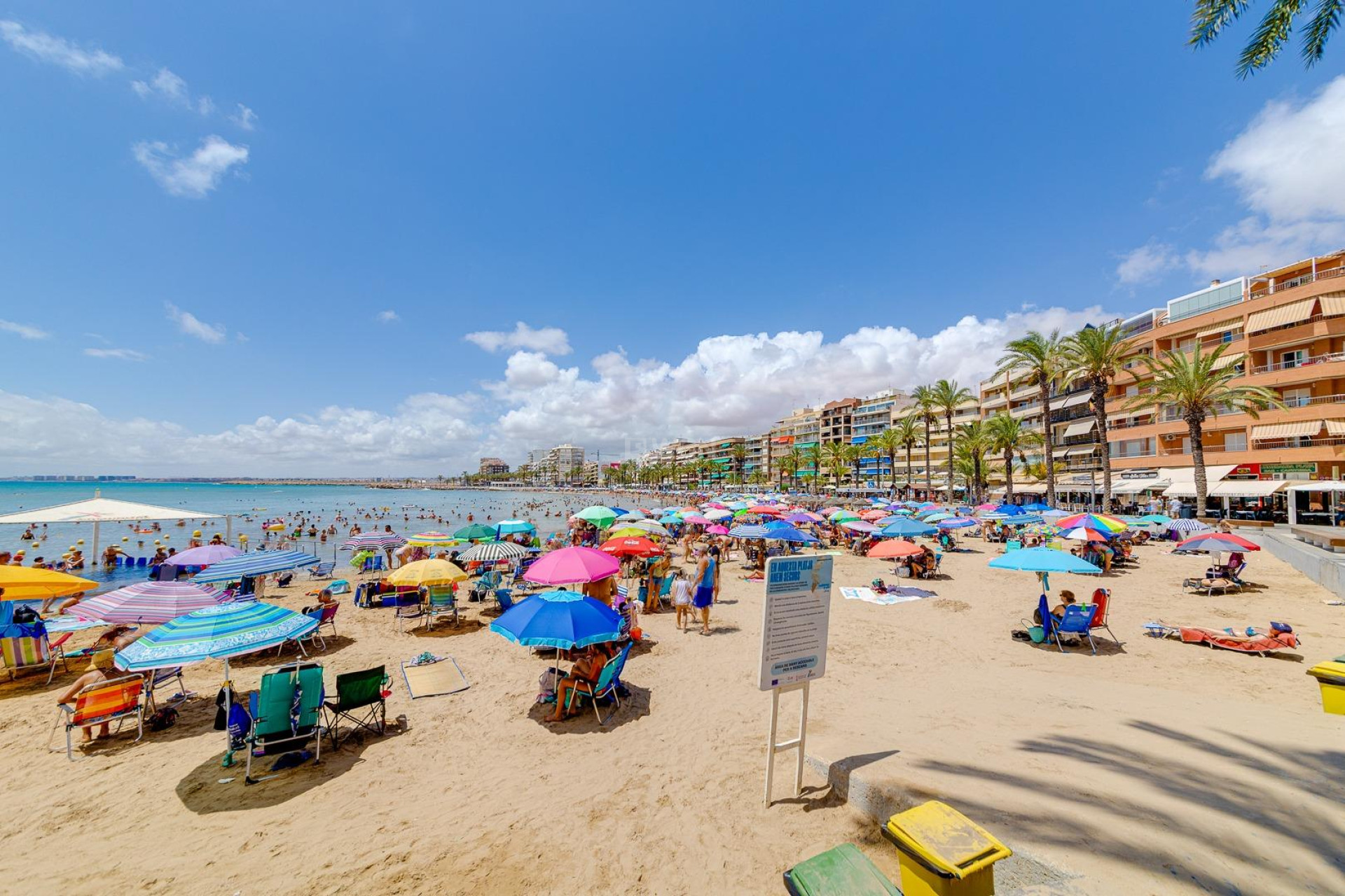 Reventa - Apartamento / piso - Torrevieja - Estacion De Autobuses