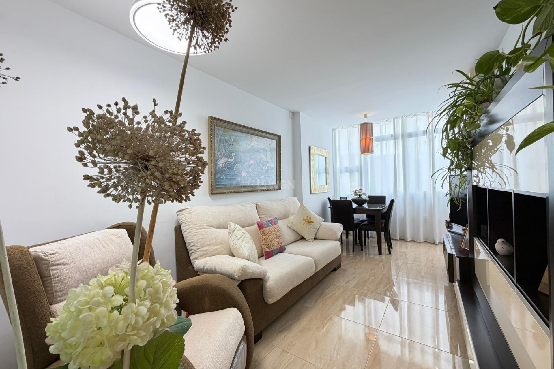 Reventa - Apartamento / piso - Torrevieja - Paseo Maritimo